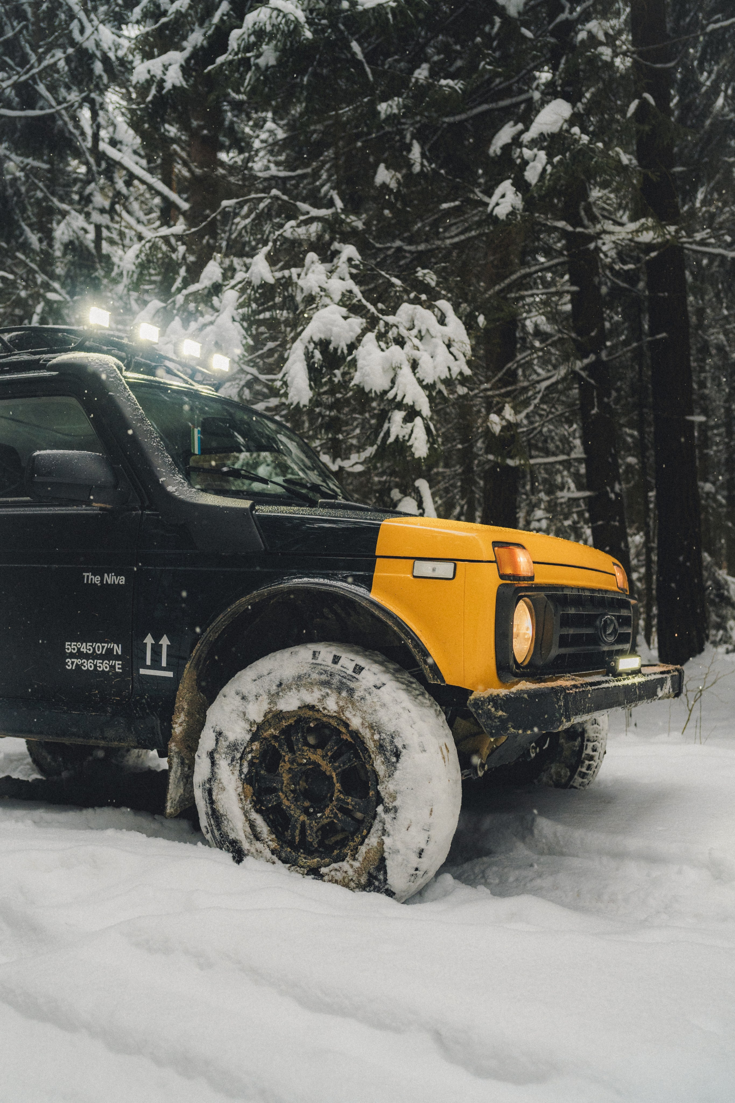 Niva Bronto (Nessie) x FAUNO. Фотограф Илья К. в Москве