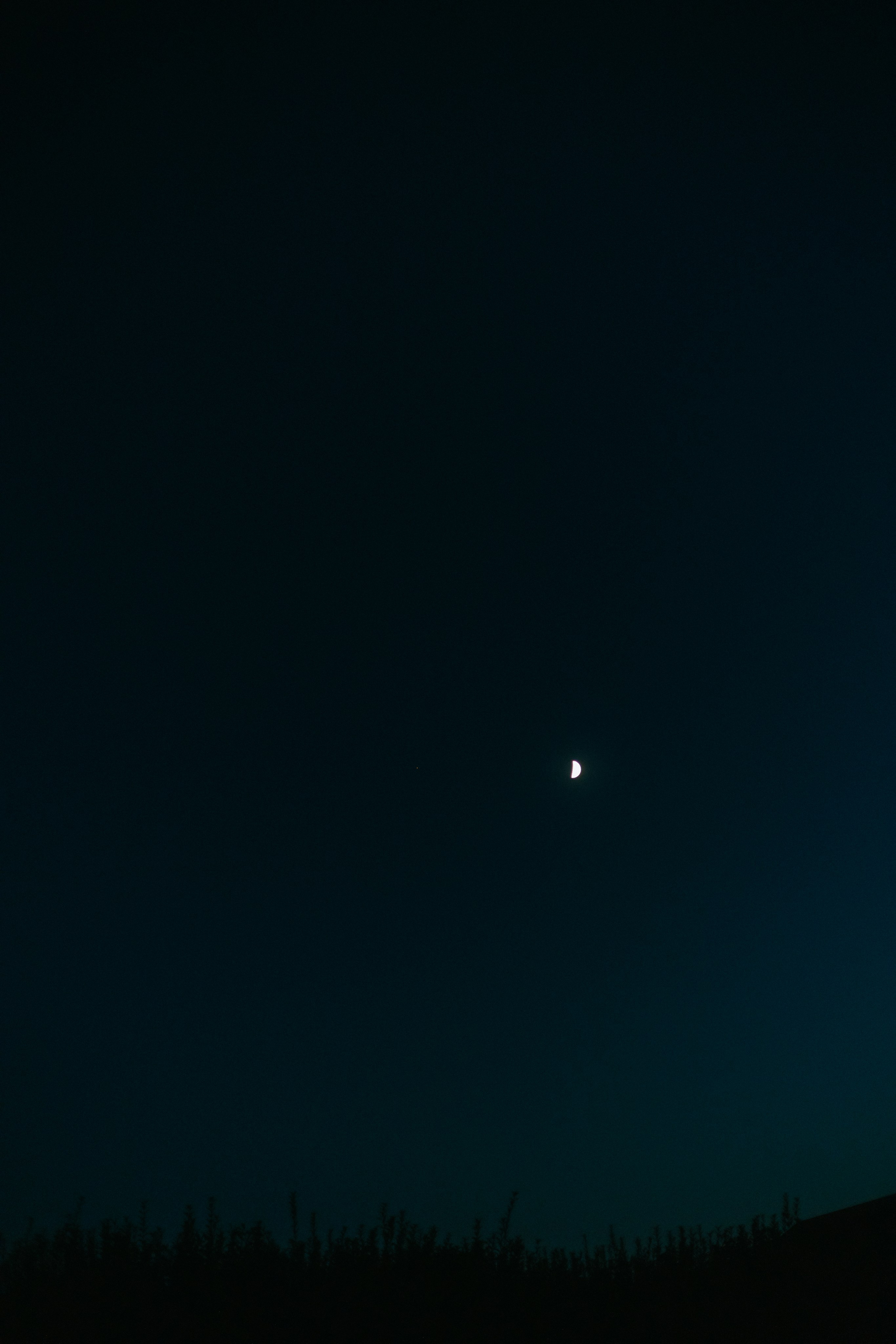 Никита и Юля. Ланемец Юлия — фотограф Волгоград/Волжский