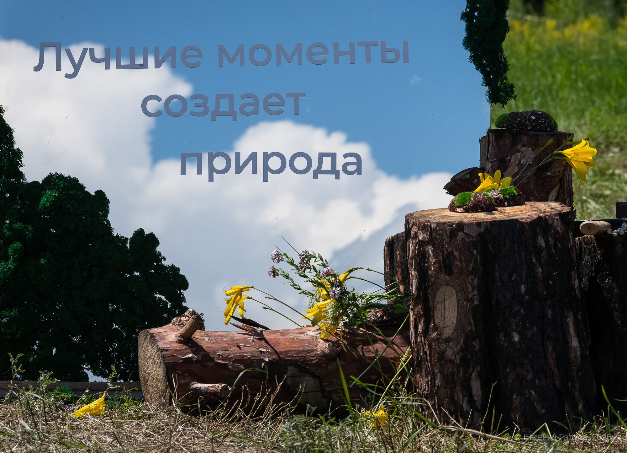 «СТЕПЬ» — 2026. Репортажный фотограф г. Чита