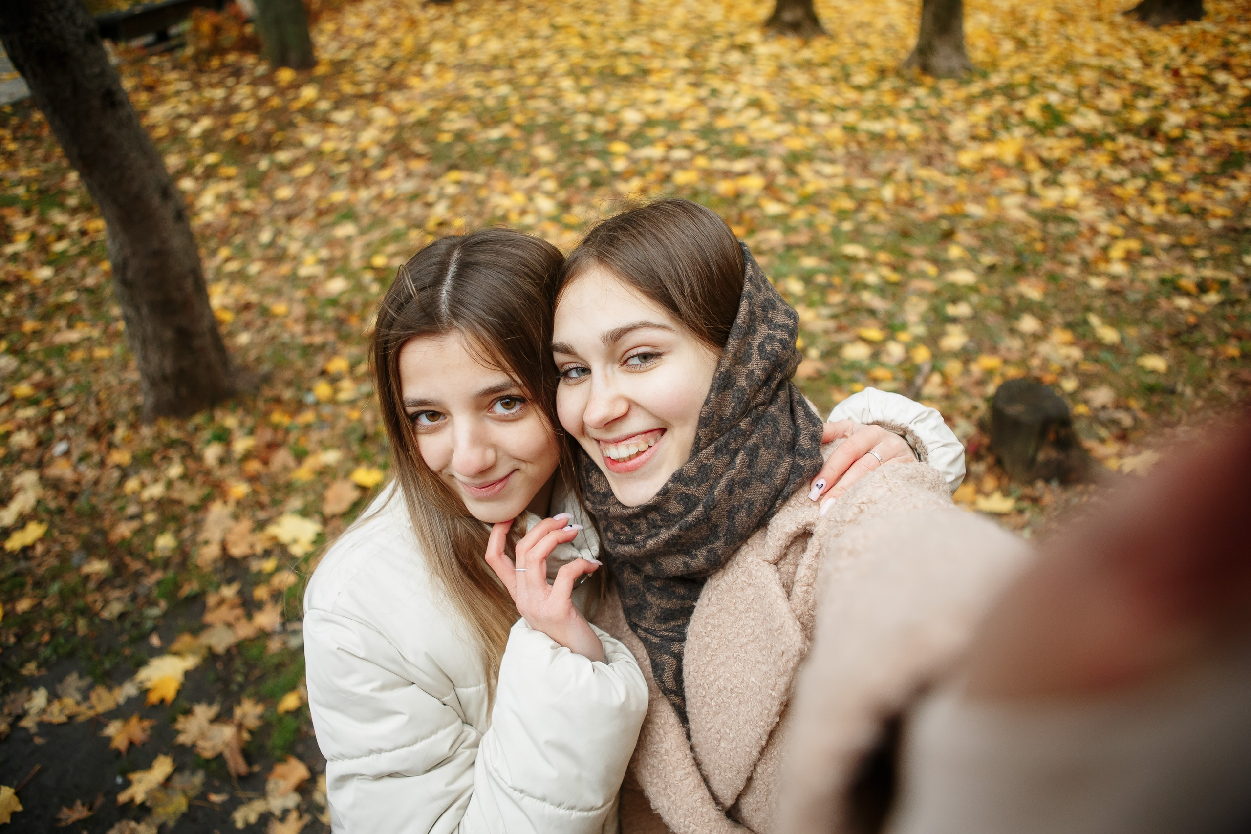 Осень Гимназия 12 11 В 2023 г. Свадебный и портретный Фотограф в Липецке Дмитрий Котюков
