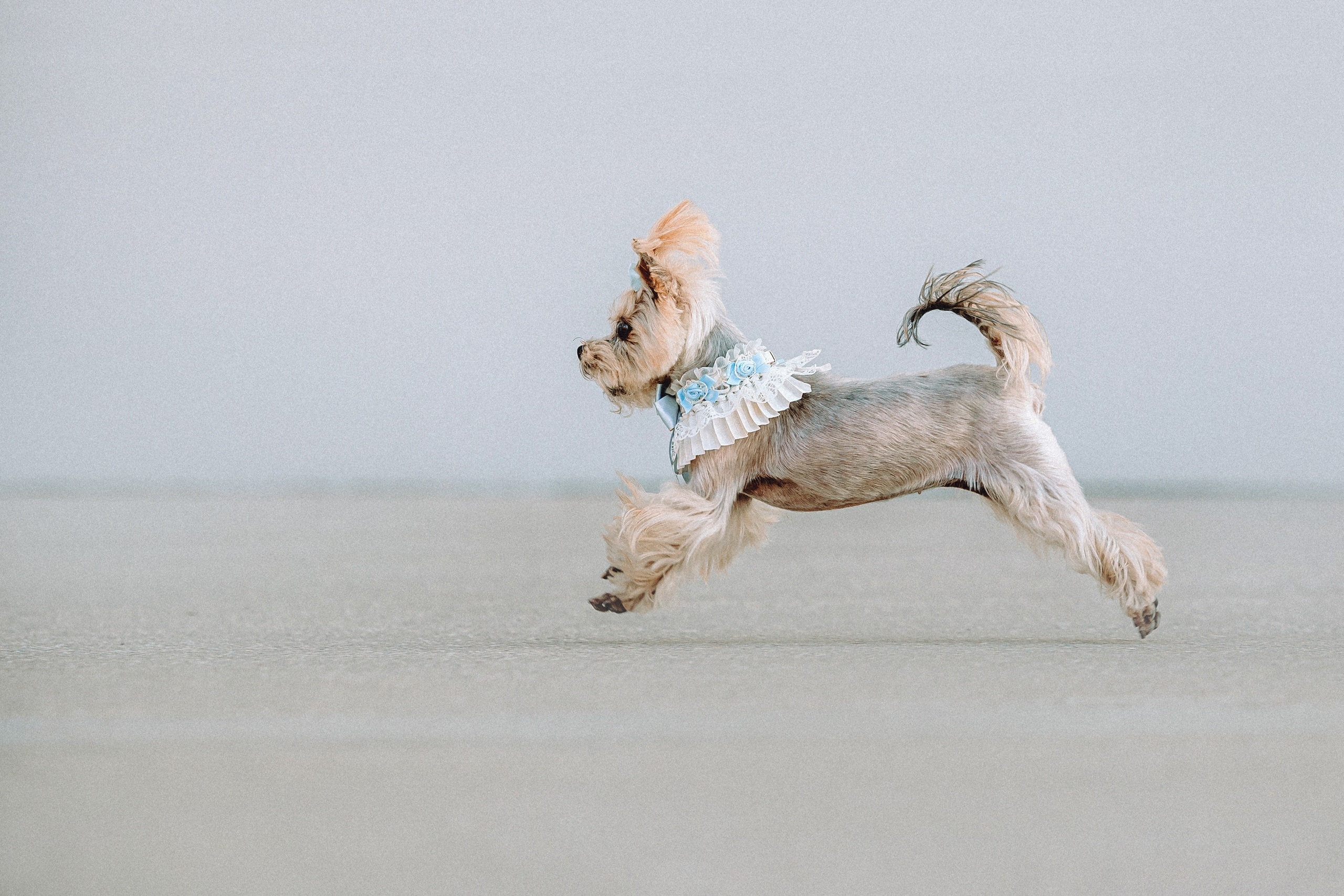 Дженни, Оливия и их семья