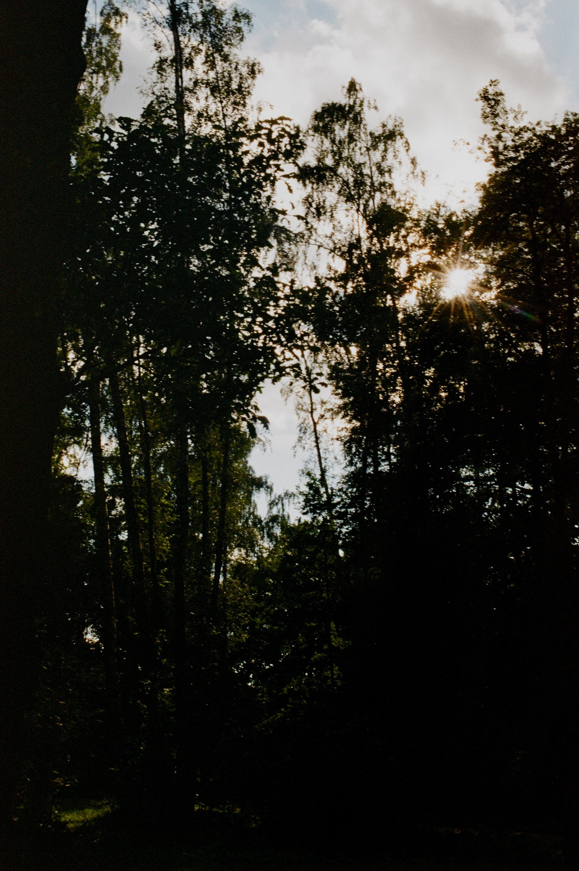 Film. Ruslan UI Dev Page