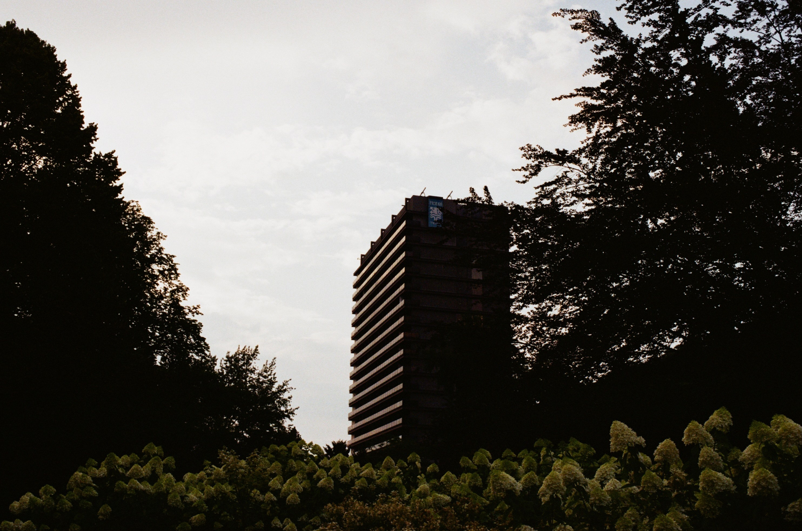 Film. Ruslan UI Dev Page