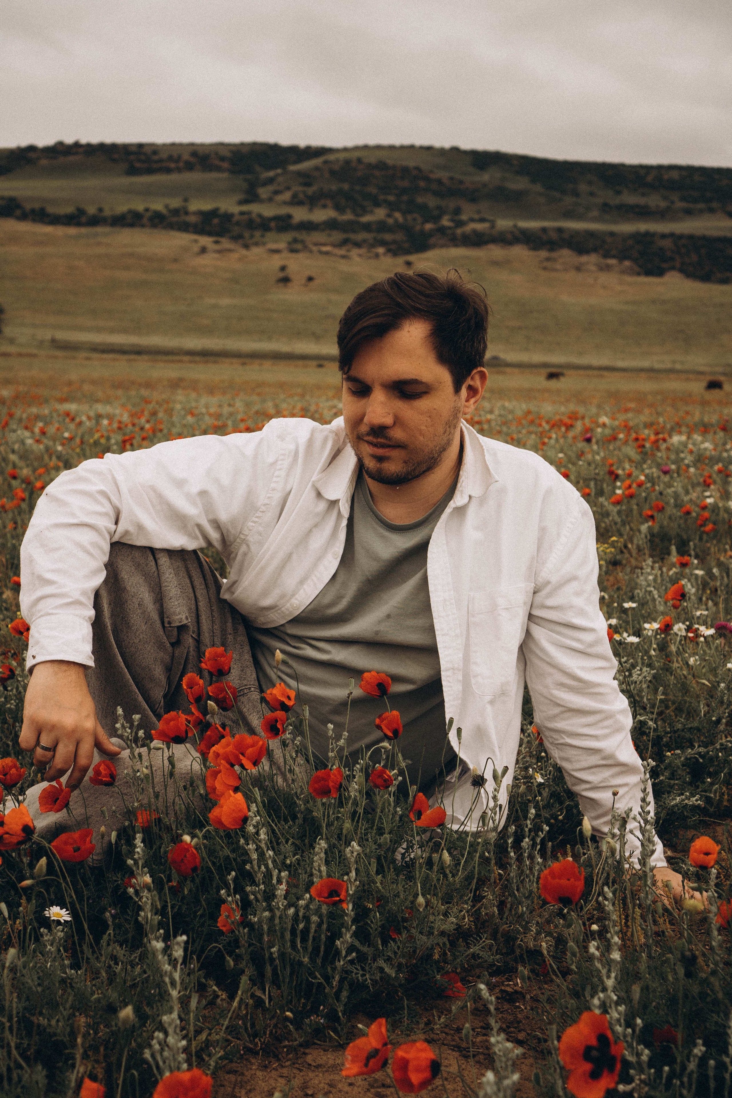 Маки. Профессиональный фотограф, Санкт-Петербург — Виктория Богомолова