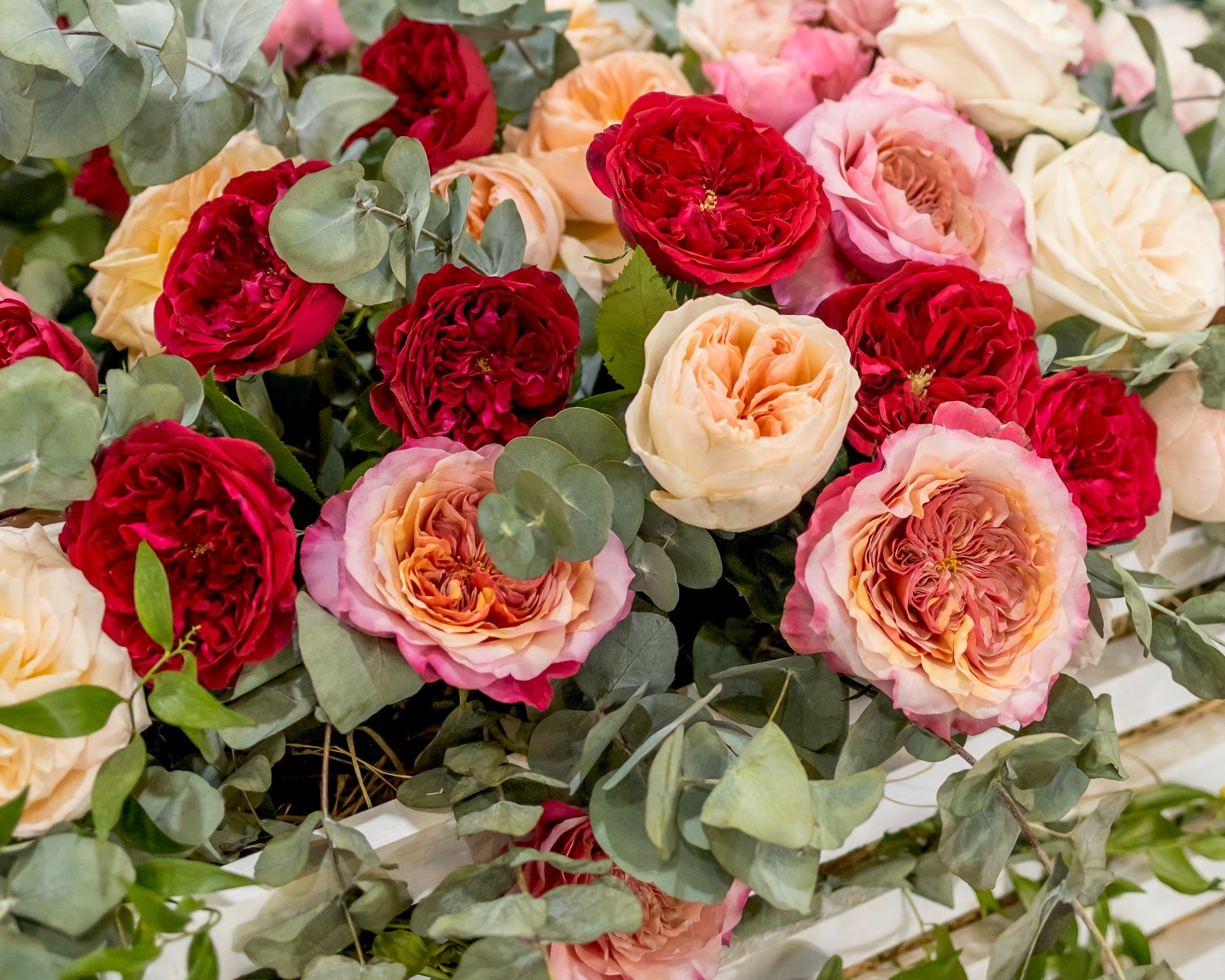 Цветы-Экспо 2024. Фотосессии и репортаж — Фотограф в Москве — Рина Серёгина