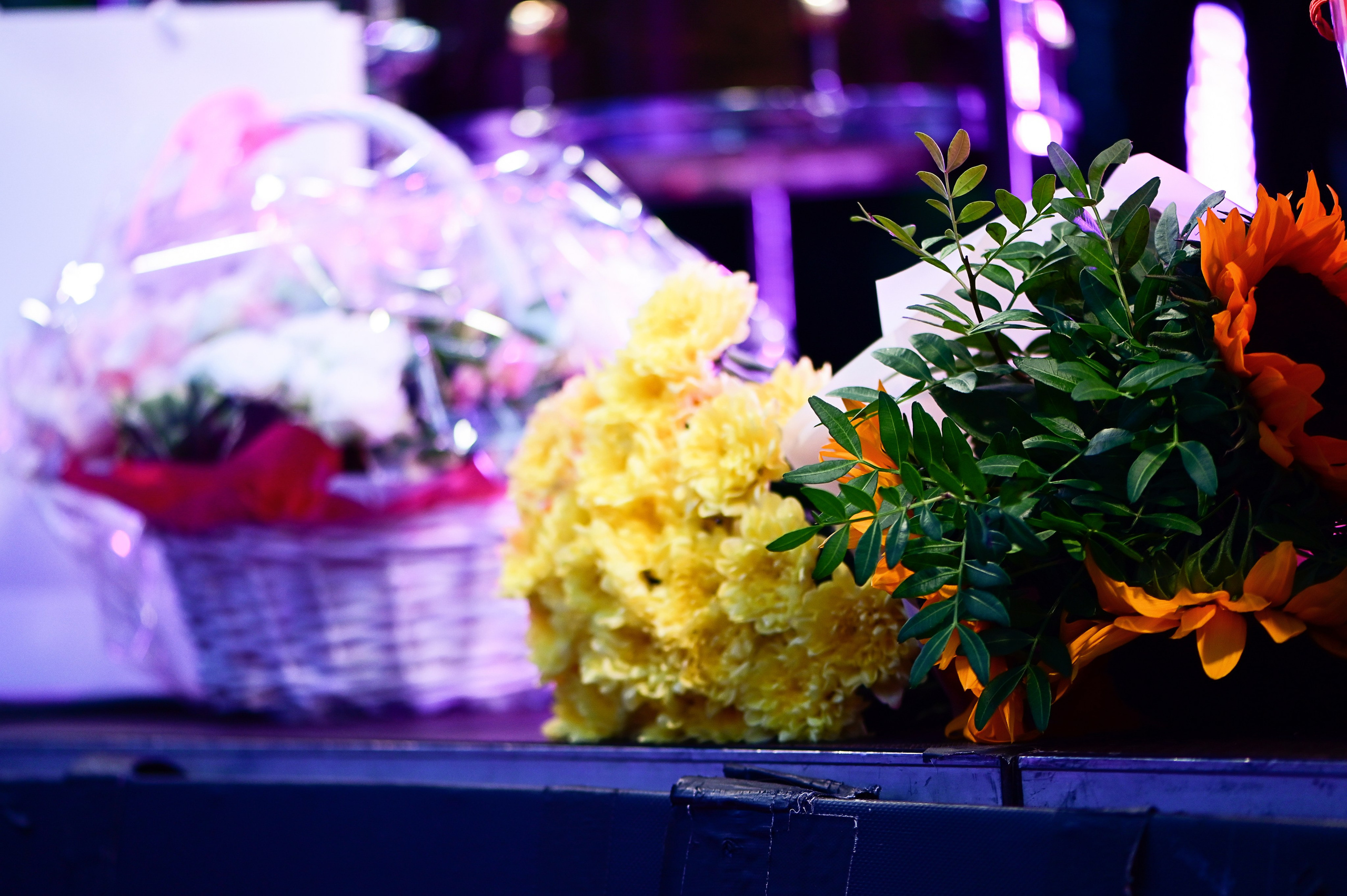 Светлана Сурганова и Оркестр. Летник на корабле. Москва, 21.08.2025. Фотограф в Москве, Оксана Ребристая
