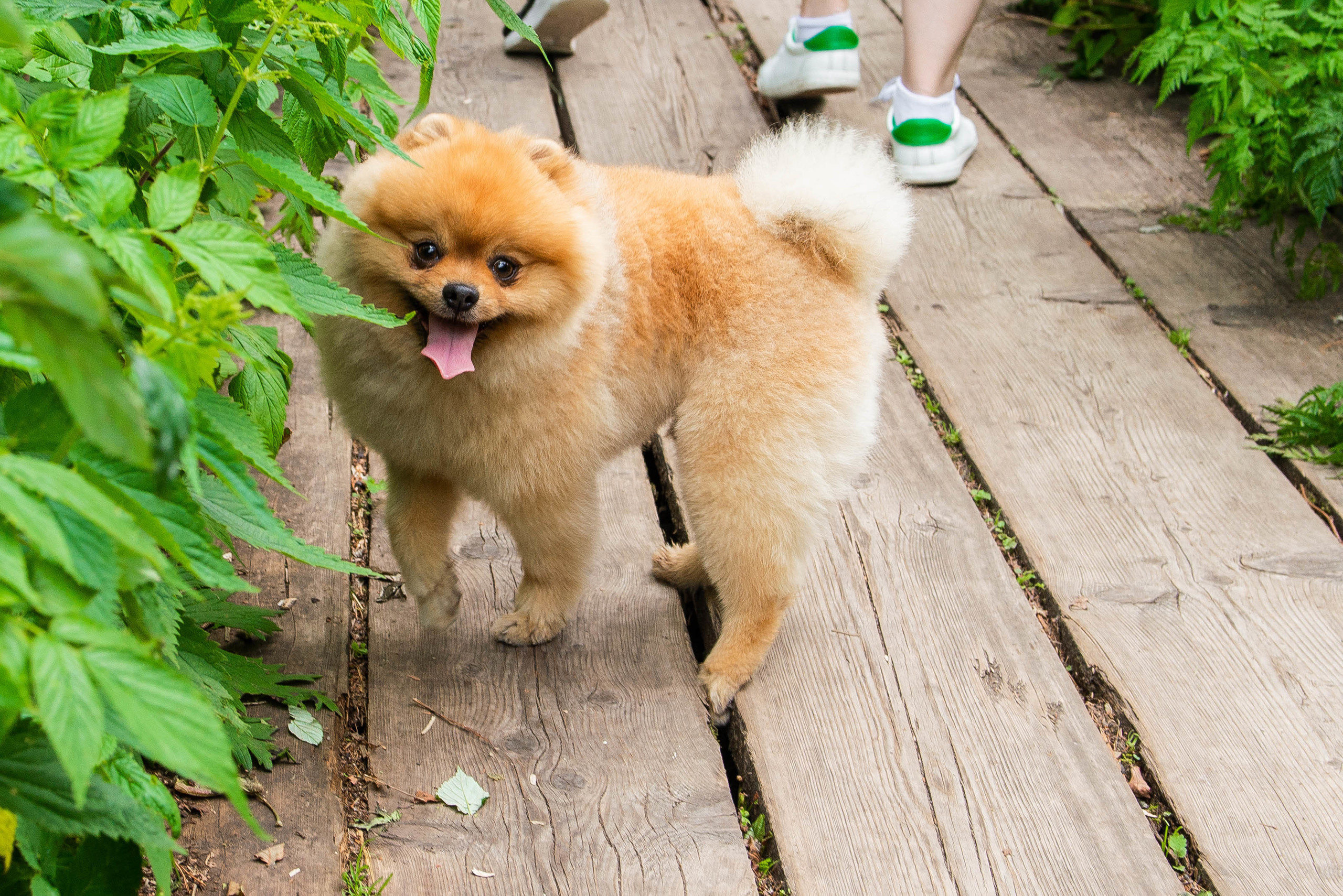 Зюраткуль 11.07.2020 г. Свадебный фотограф на Урале Виктор Соколов