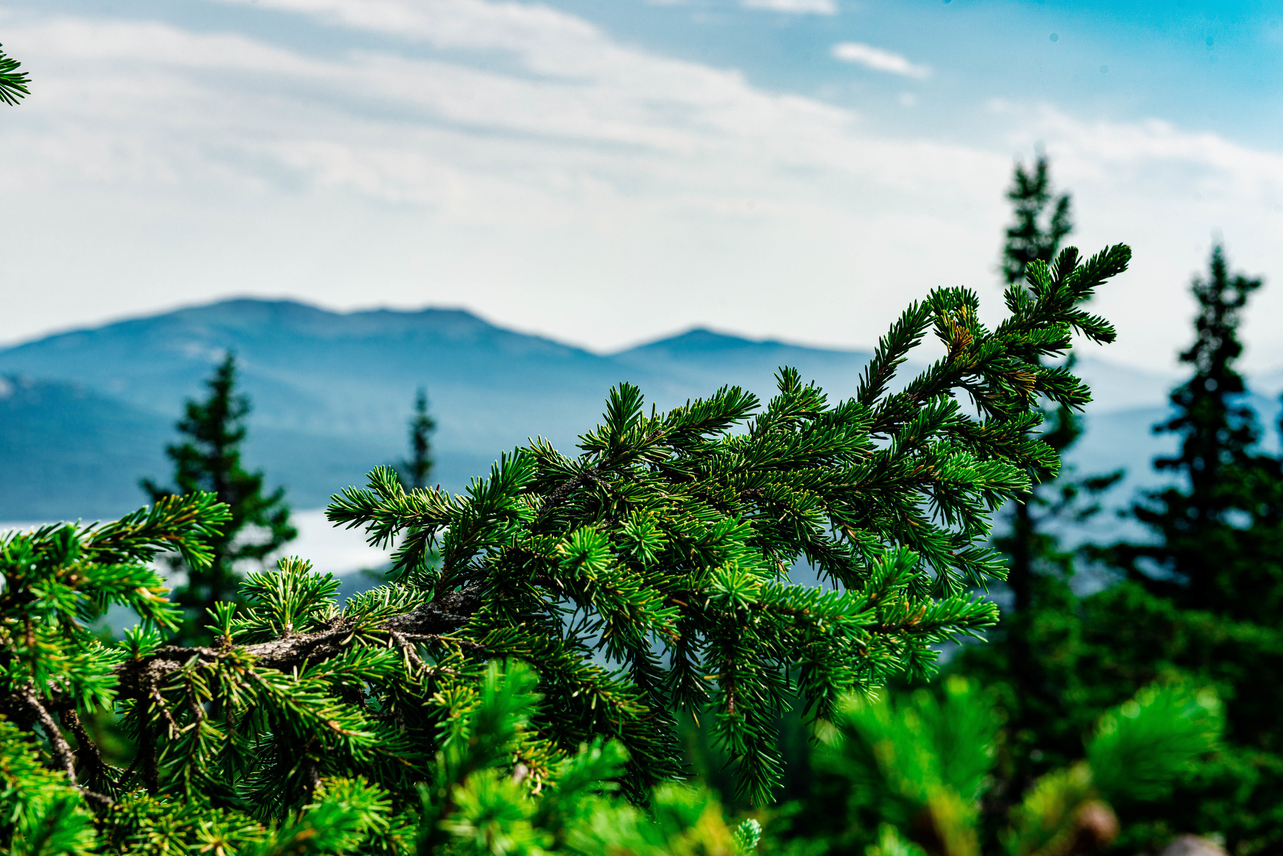 Зюраткуль 11.07.2020 г. Свадебный фотограф на Урале Виктор Соколов
