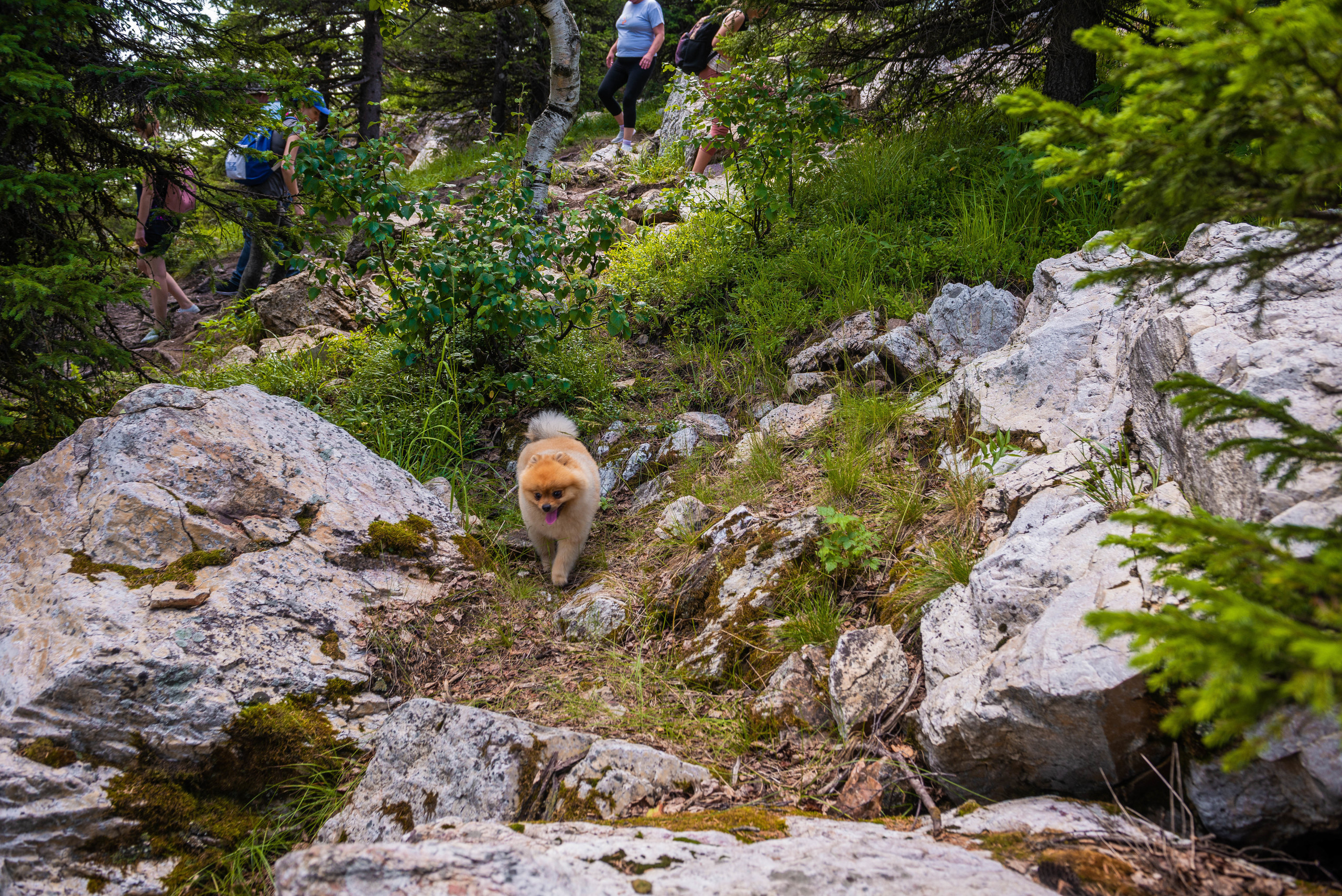 Зюраткуль 11.07.2020 г. Свадебный фотограф на Урале Виктор Соколов