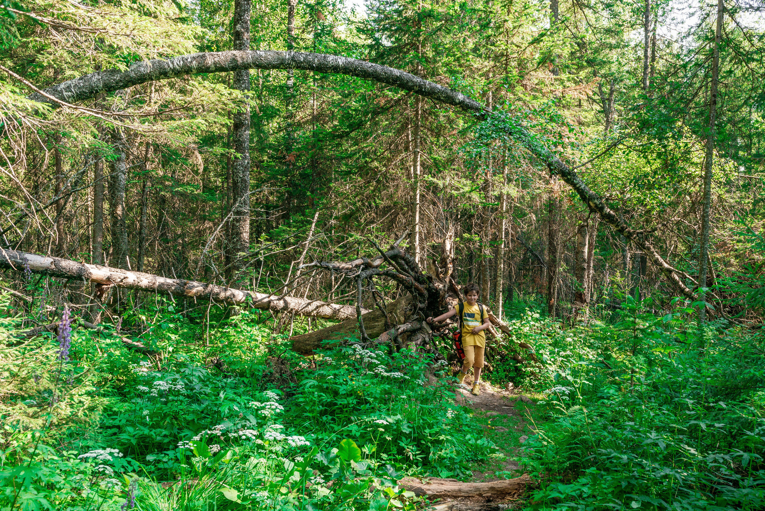 Зюраткуль 11.07.2020 г. Свадебный фотограф на Урале Виктор Соколов