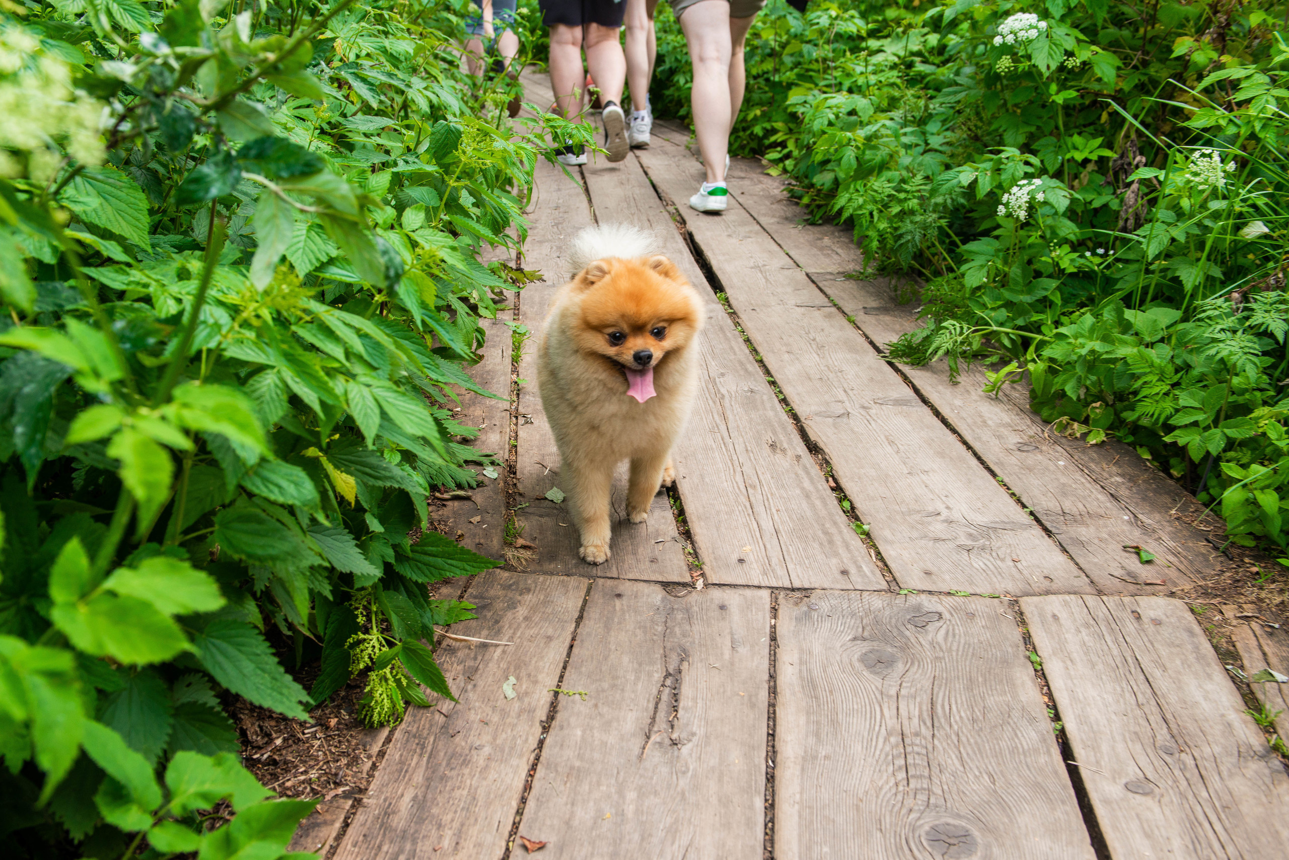 Зюраткуль 11.07.2020 г. Свадебный фотограф на Урале Виктор Соколов