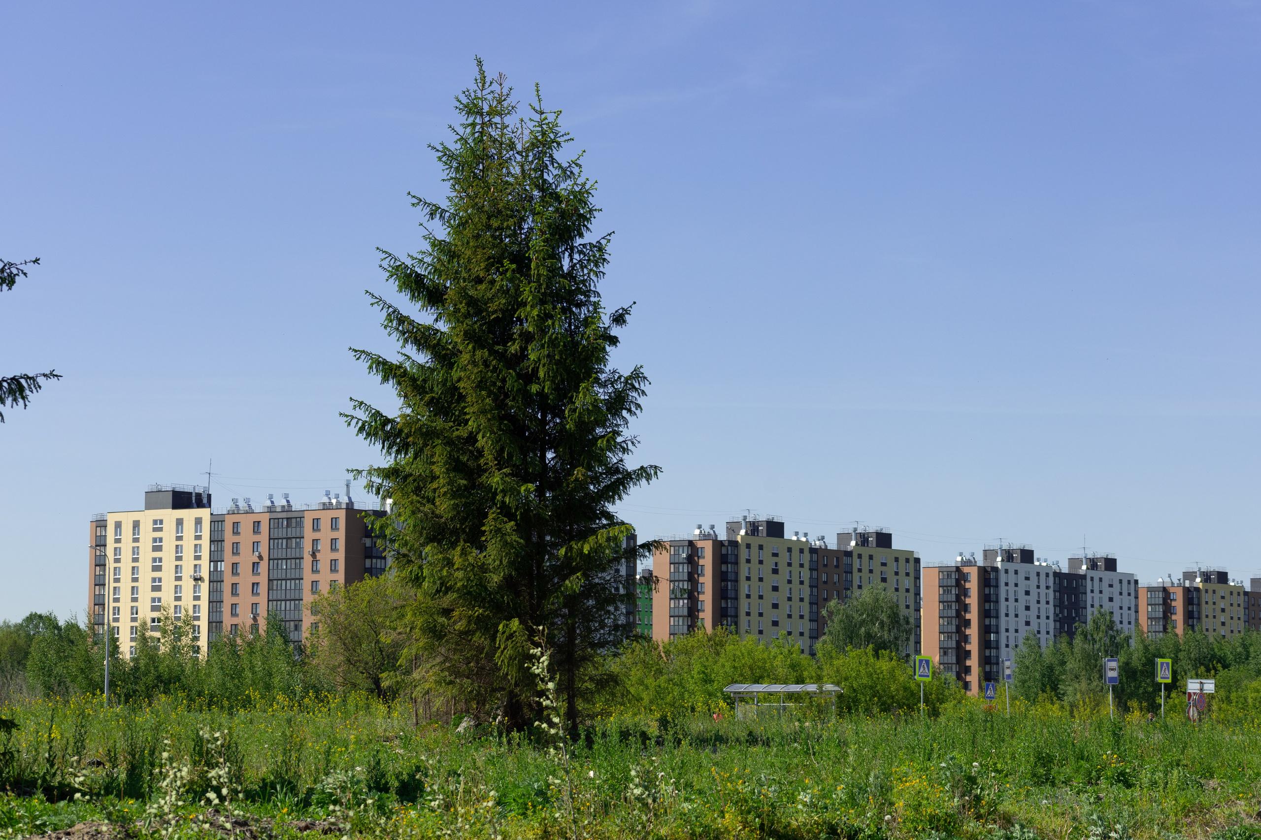 Торпедо. Фотограф Мурманск | Нижний Новгород • Анна Хижняк