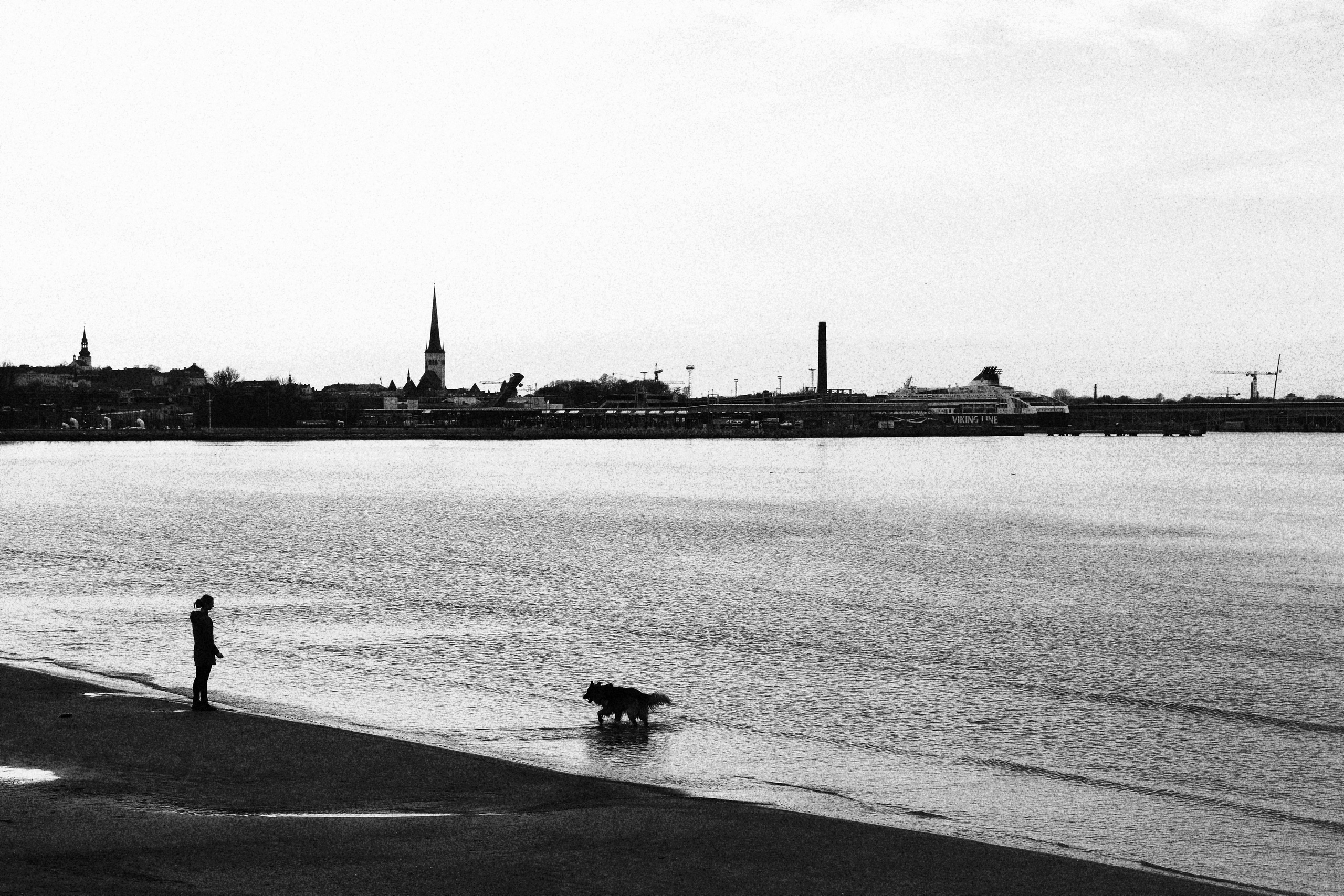 Tallinn. Juliarubis.com