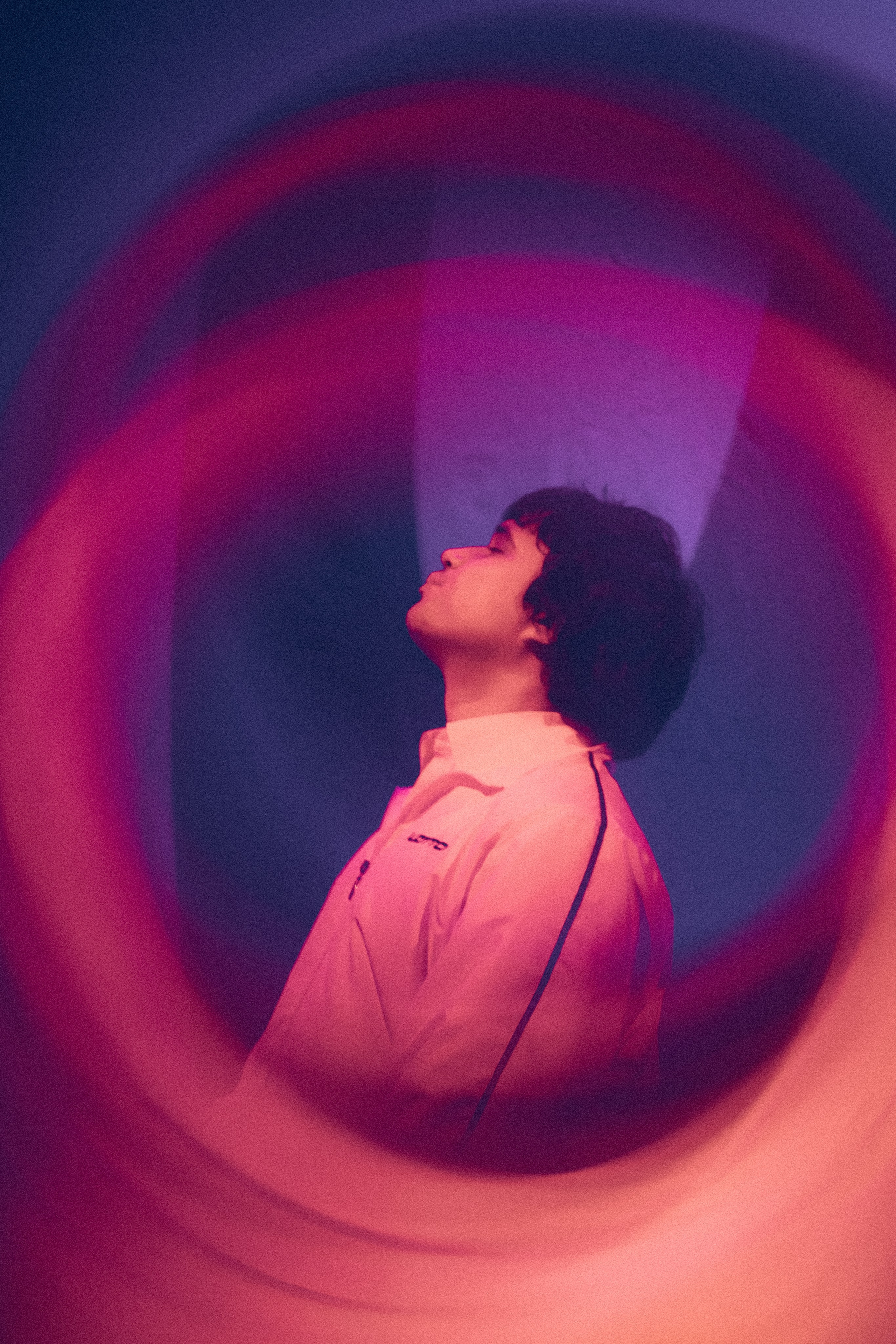 SALUKI. Фотограф Санкт-Петербурга