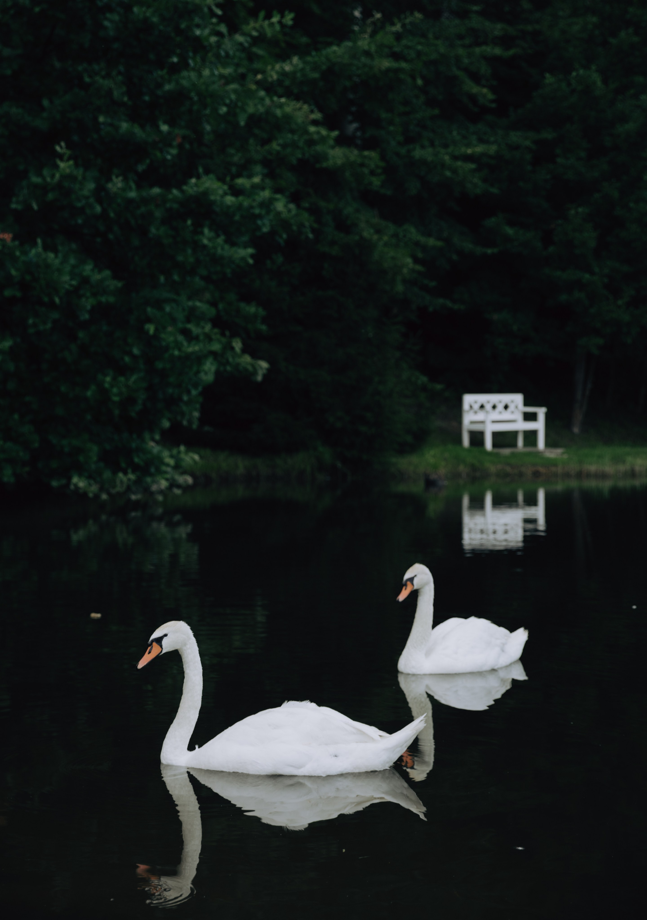 Georgy and Ekaterina. Свадебный фотограф в Санкт-Петербурге Анна Суровцева