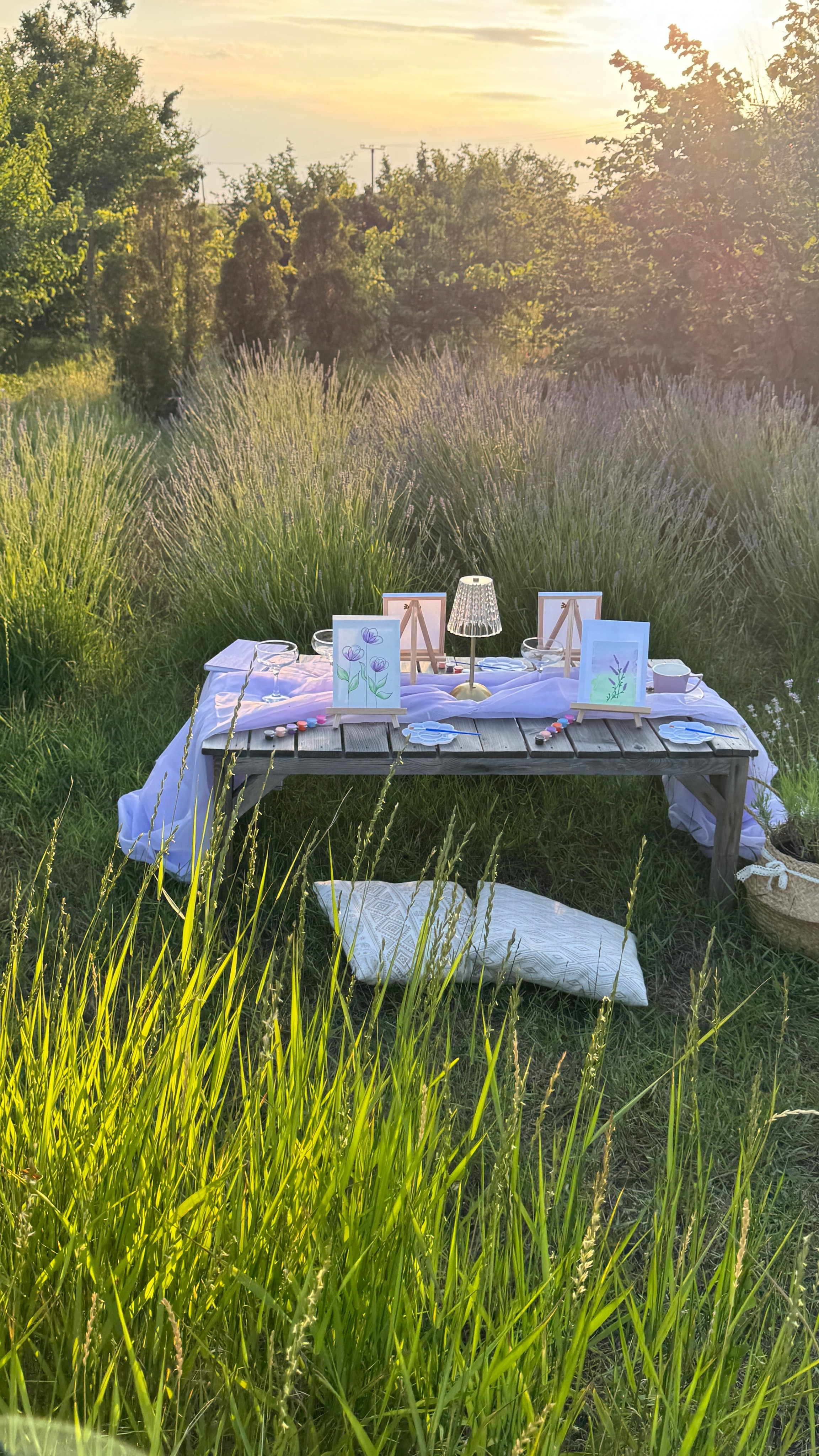 Лаванда. Фотостудия Натальи Забродской