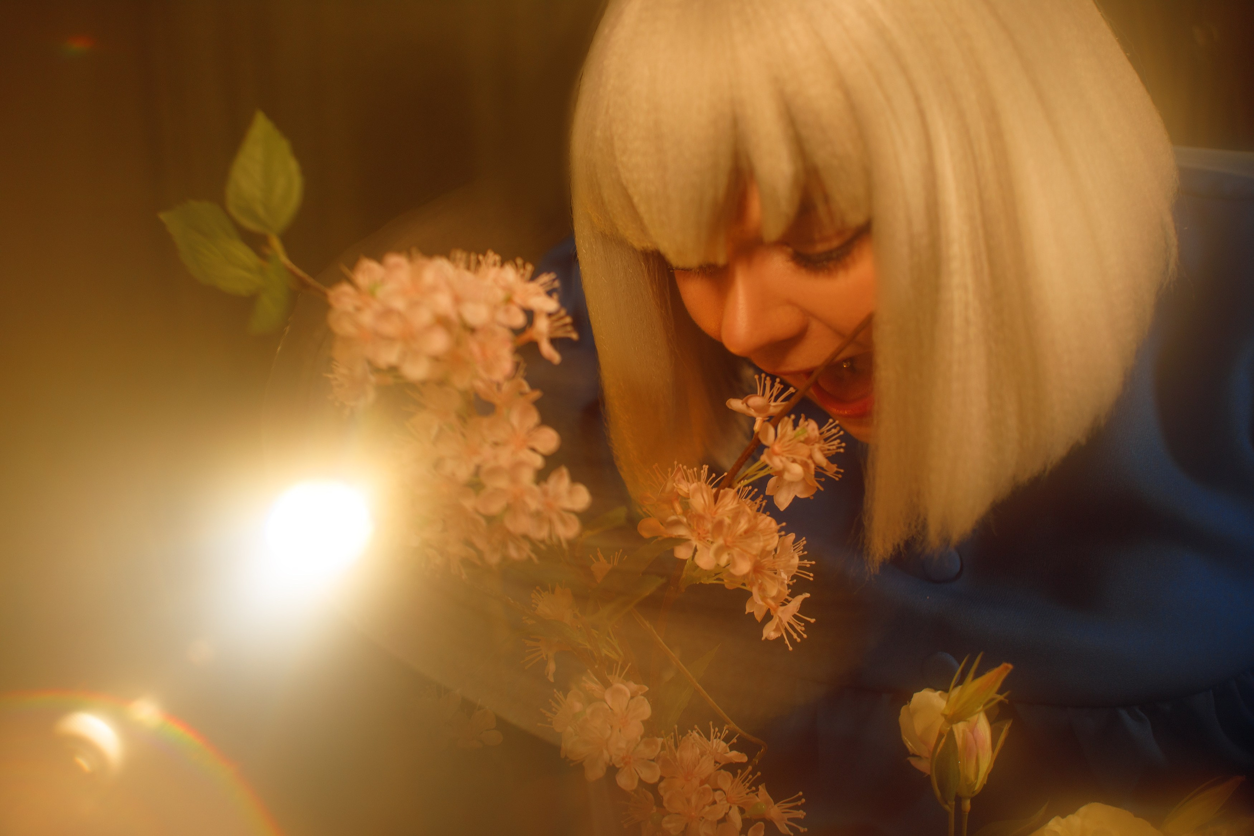 Howl's Moving Castle: Sophie Hutter. Polaroud love