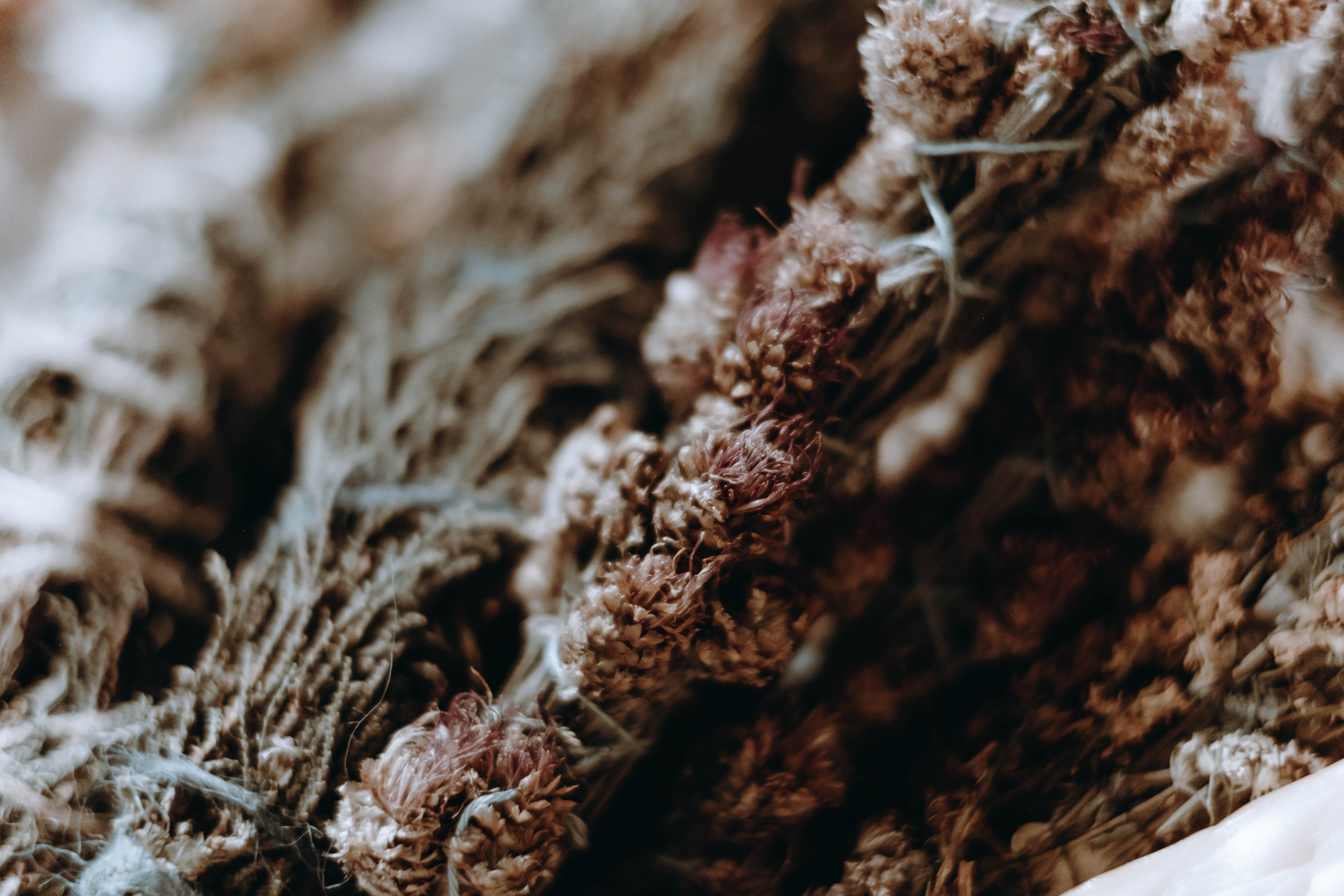 Ecstatic Winter White Festival. Фотограф Аннё| Москва