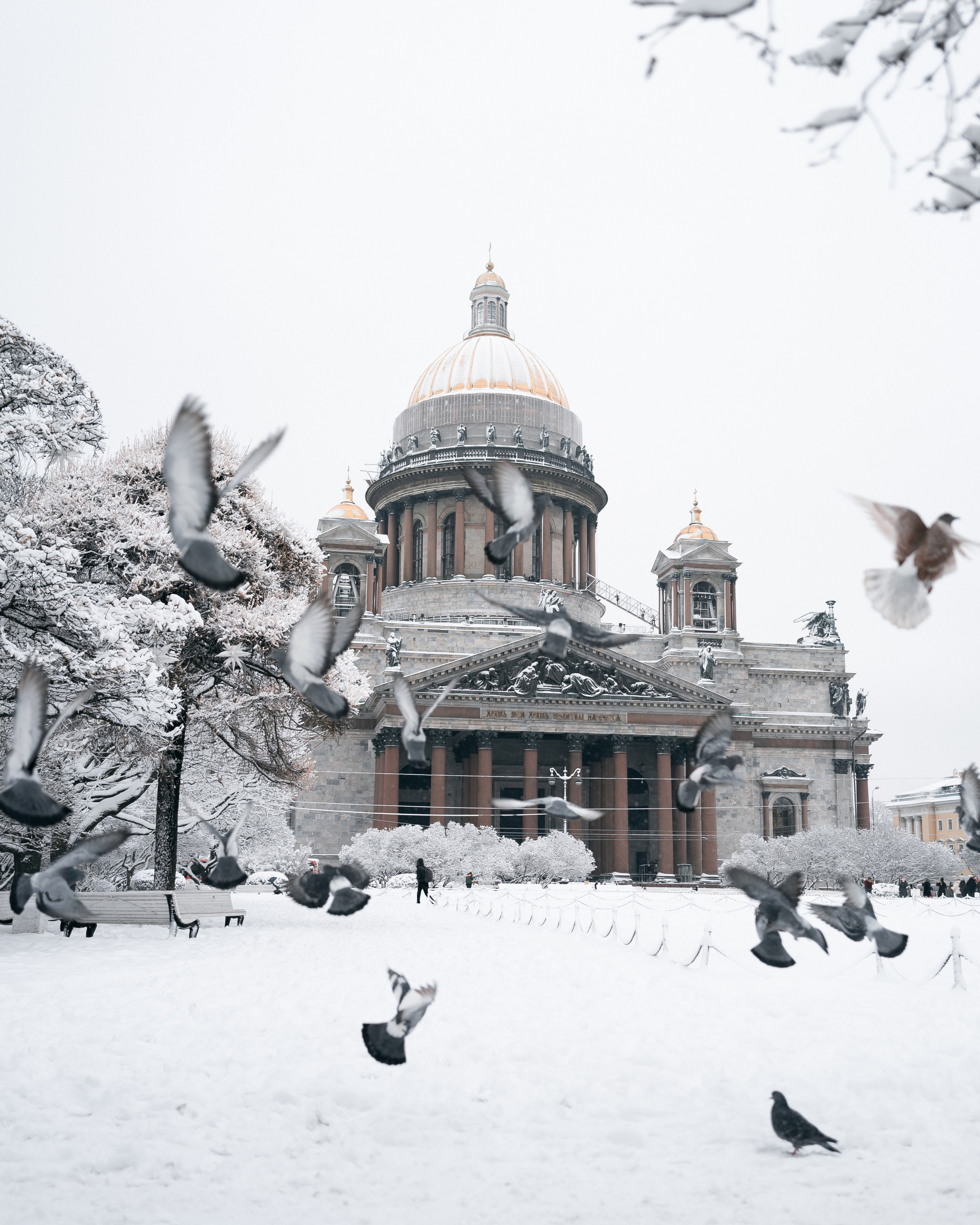 Street photography / Уличная фотография. @tomrus: Рустам Шагиморданов — фотограф