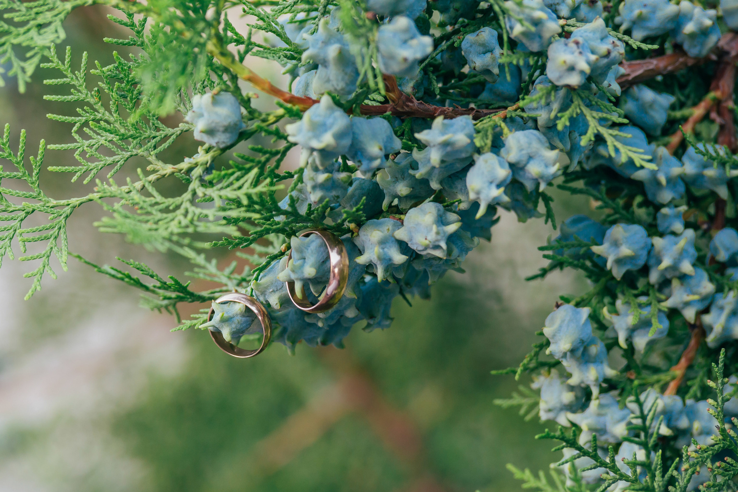 Фотограф Валерий Савиовский