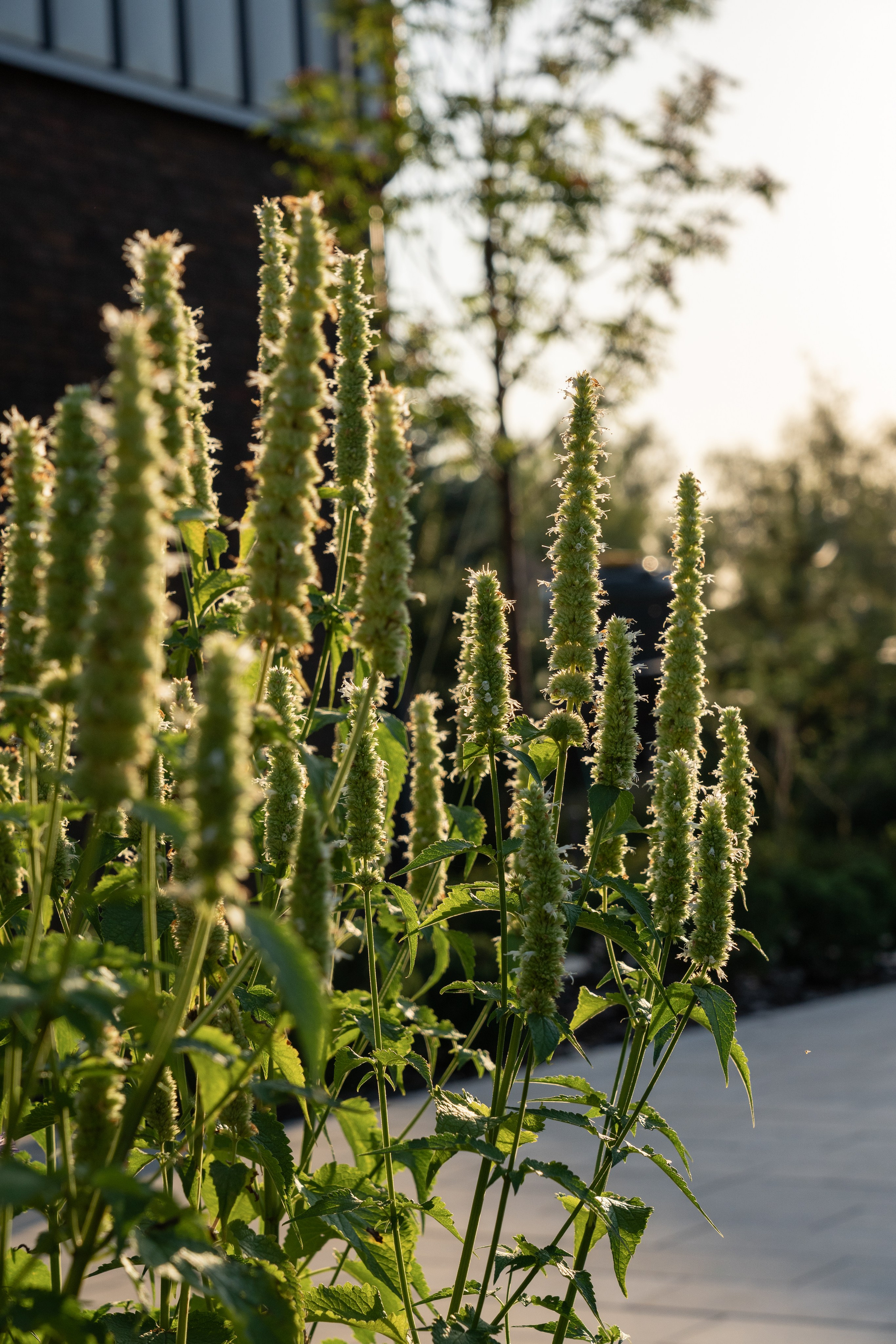 Framed landscape. Артамонов Александр | Архитектурный и ландшафтный фотограф