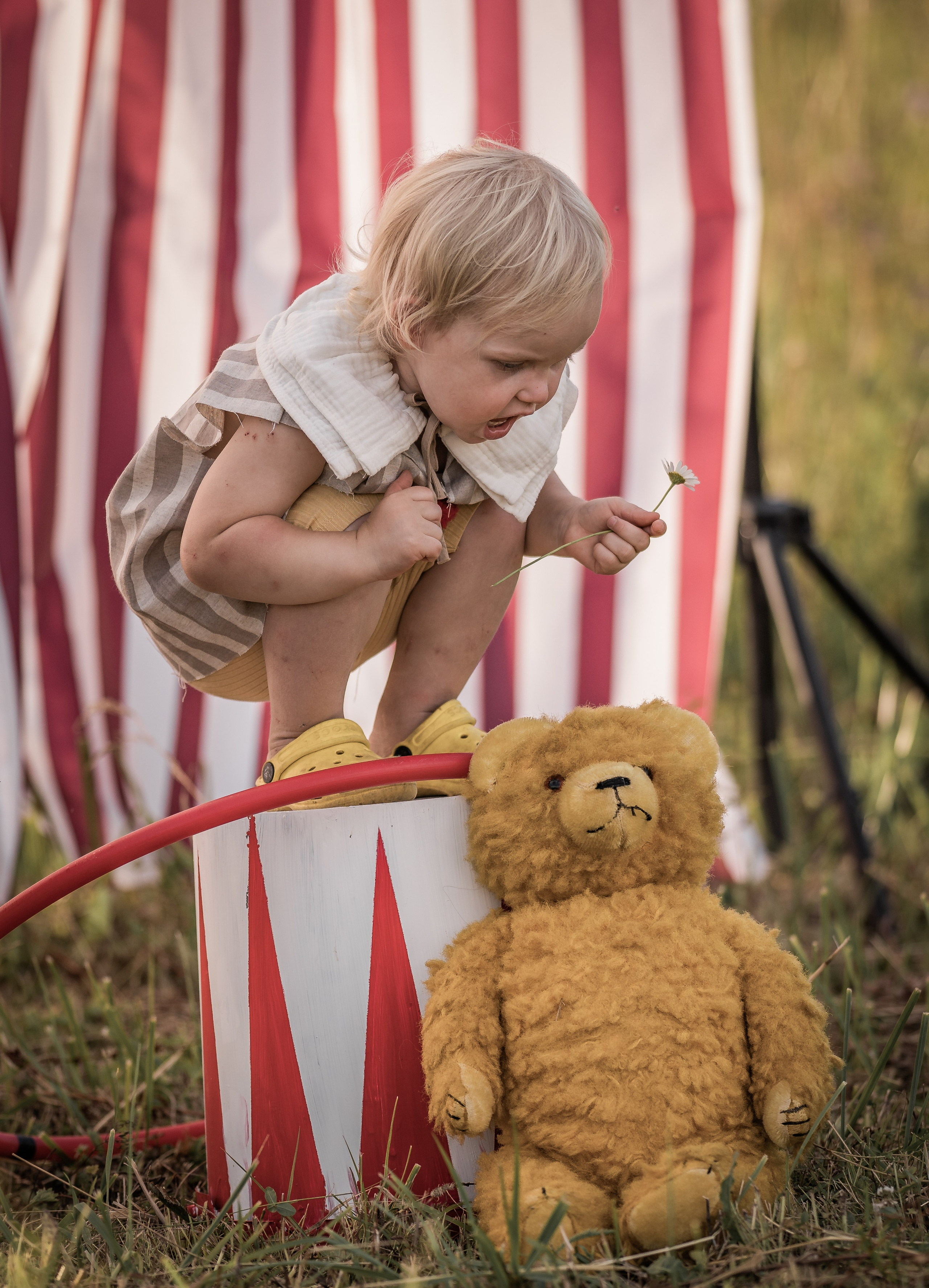 Цирк. Семейный фотограф Ефремова Виктория