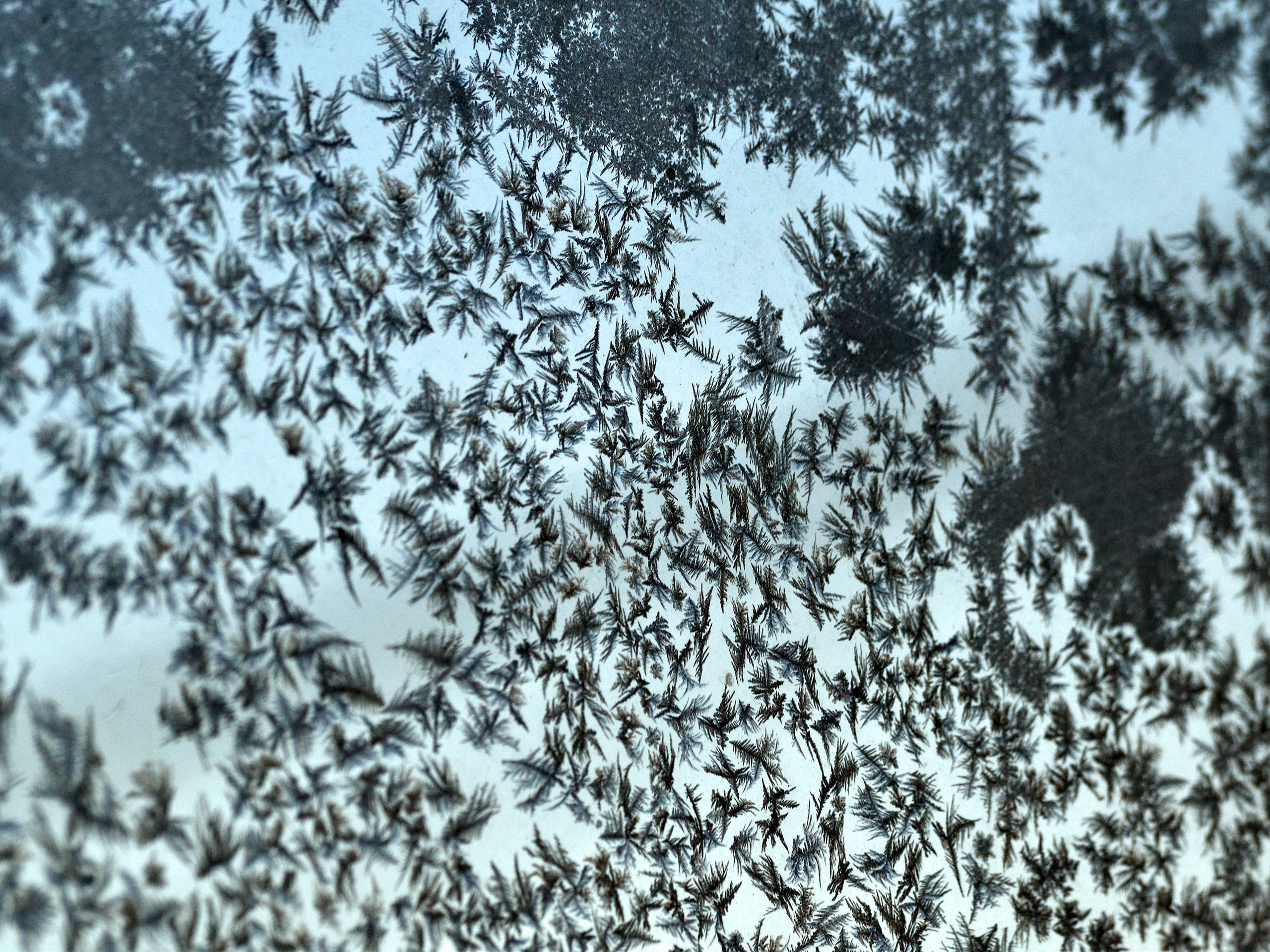 Фотограф | Видеограф в Кургане, Тюмени и Челябинске