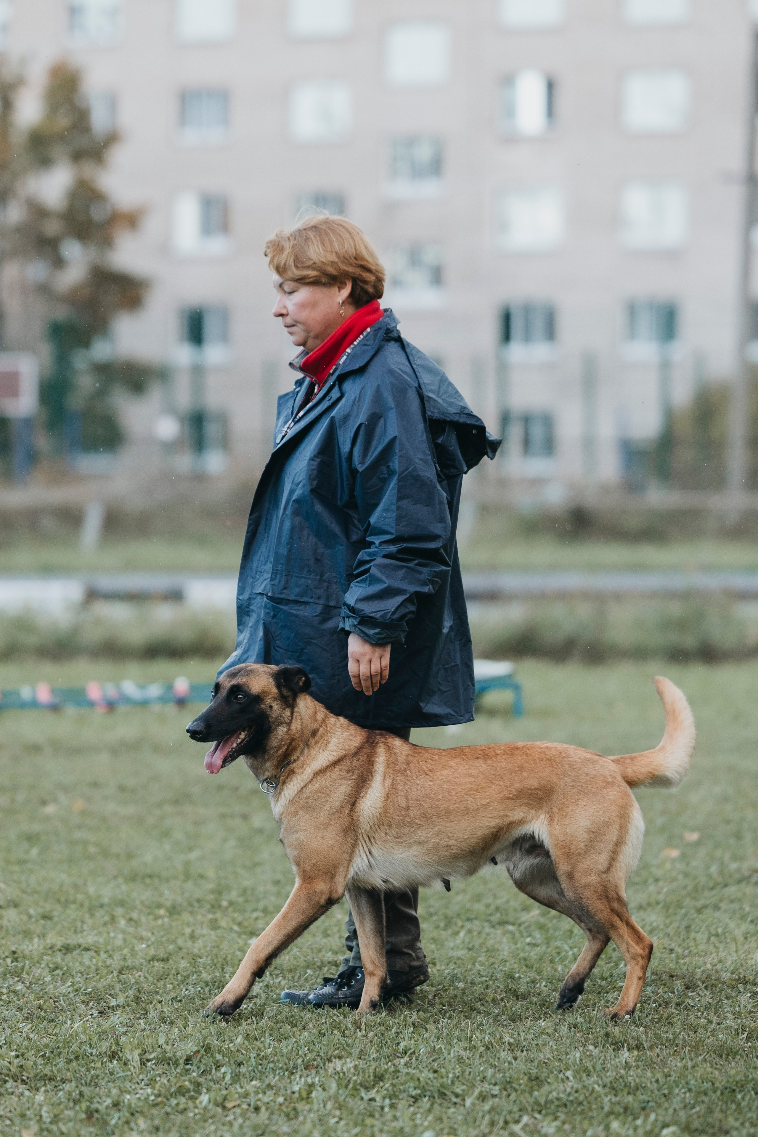 Испытания по мондьорингу г. Пушкин 29.09.2024. Фотограф-анималист Анна Маринич