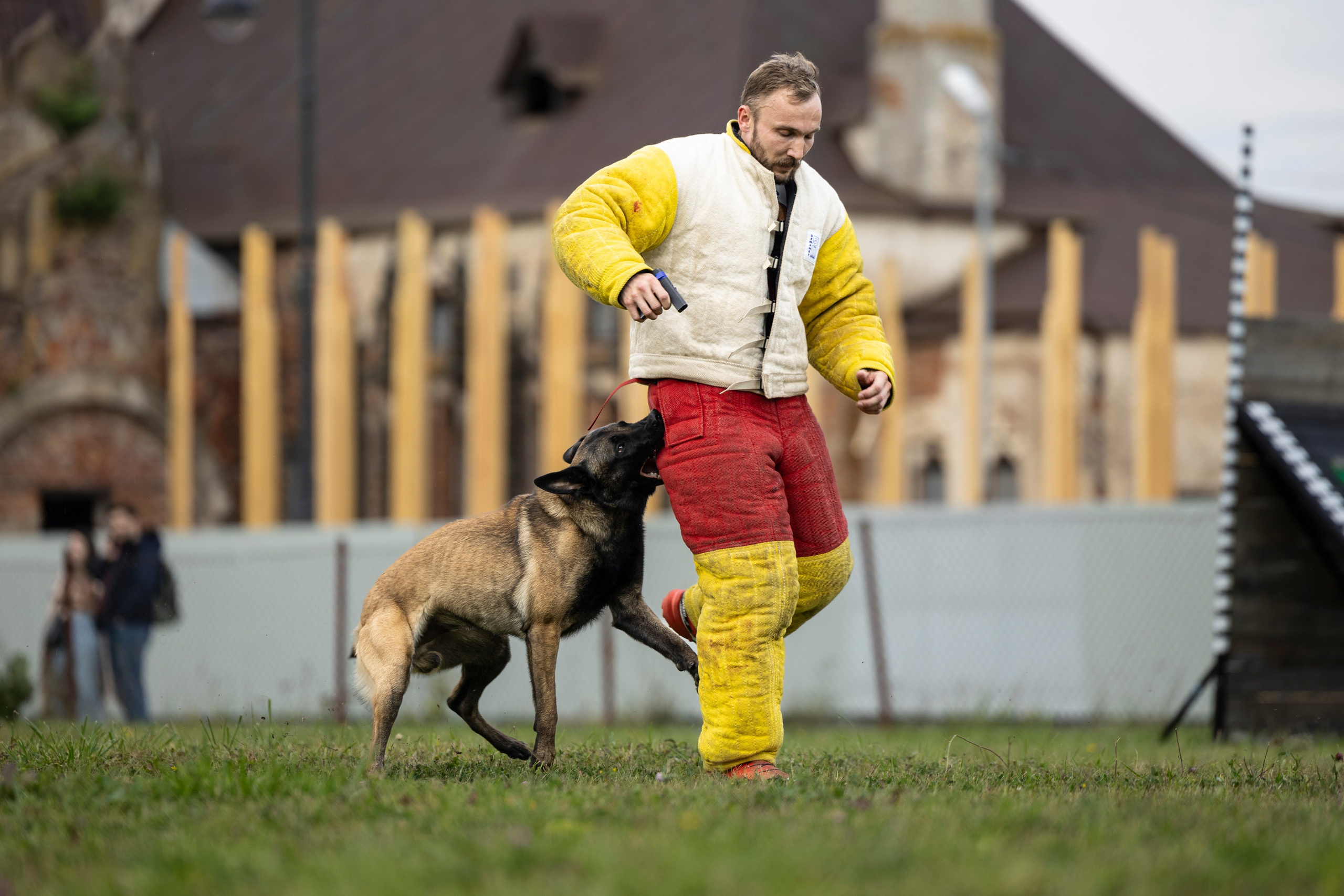 Испытания по Мондьорингу г. Пушкин. Фотограф-анималист Анна Маринич
