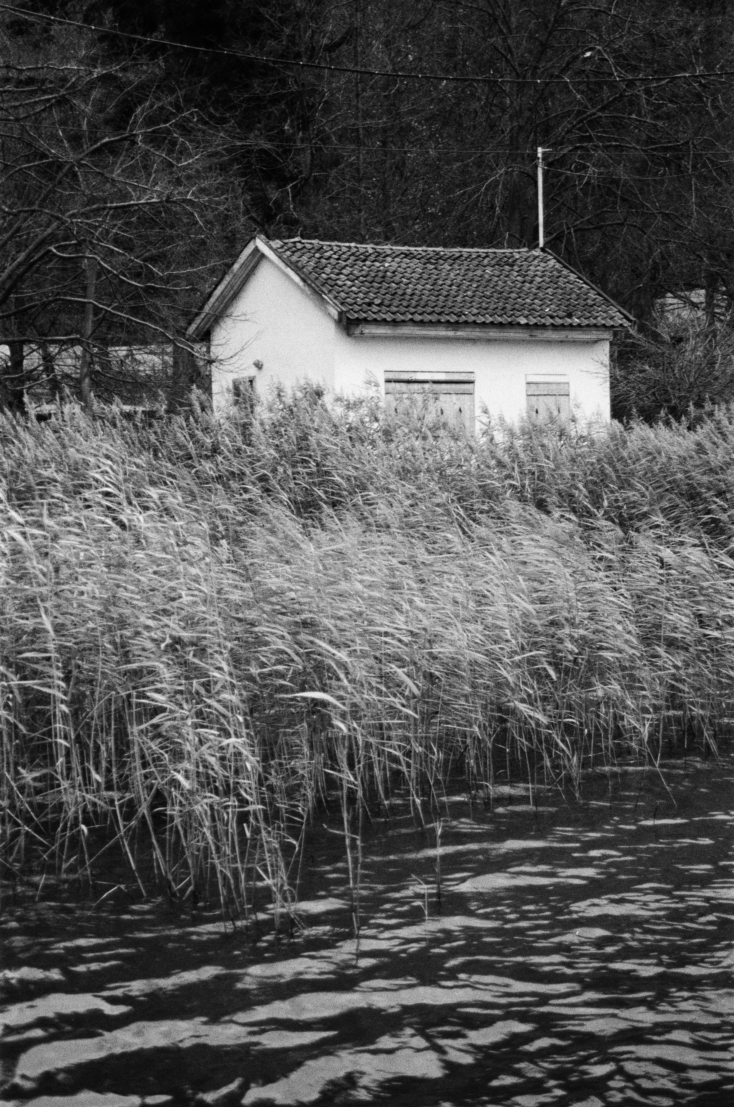 Пленка ЧБ. Фотограф Соня с Земли
