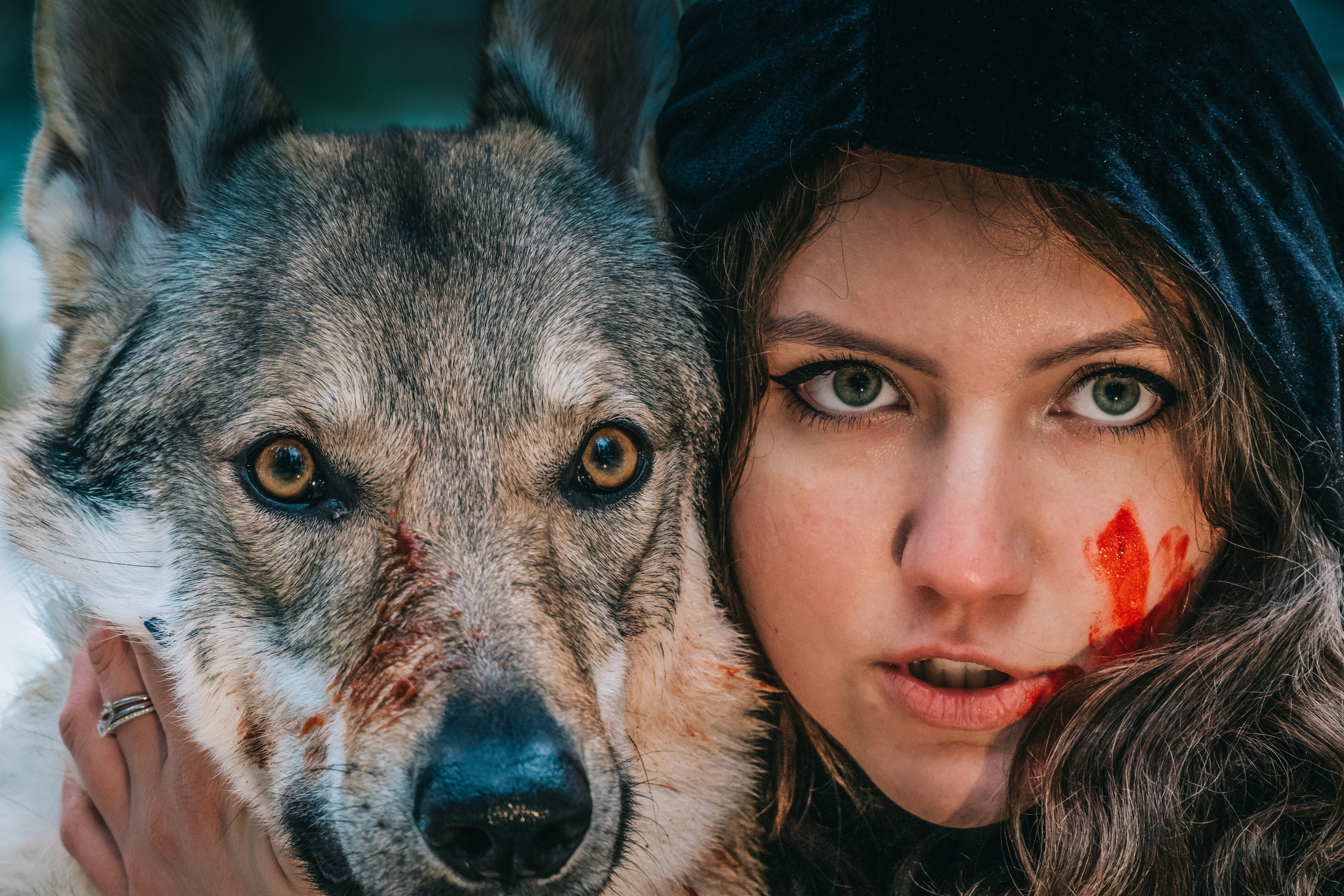 Фотограф-анималист в Москве Юлия Лайхо