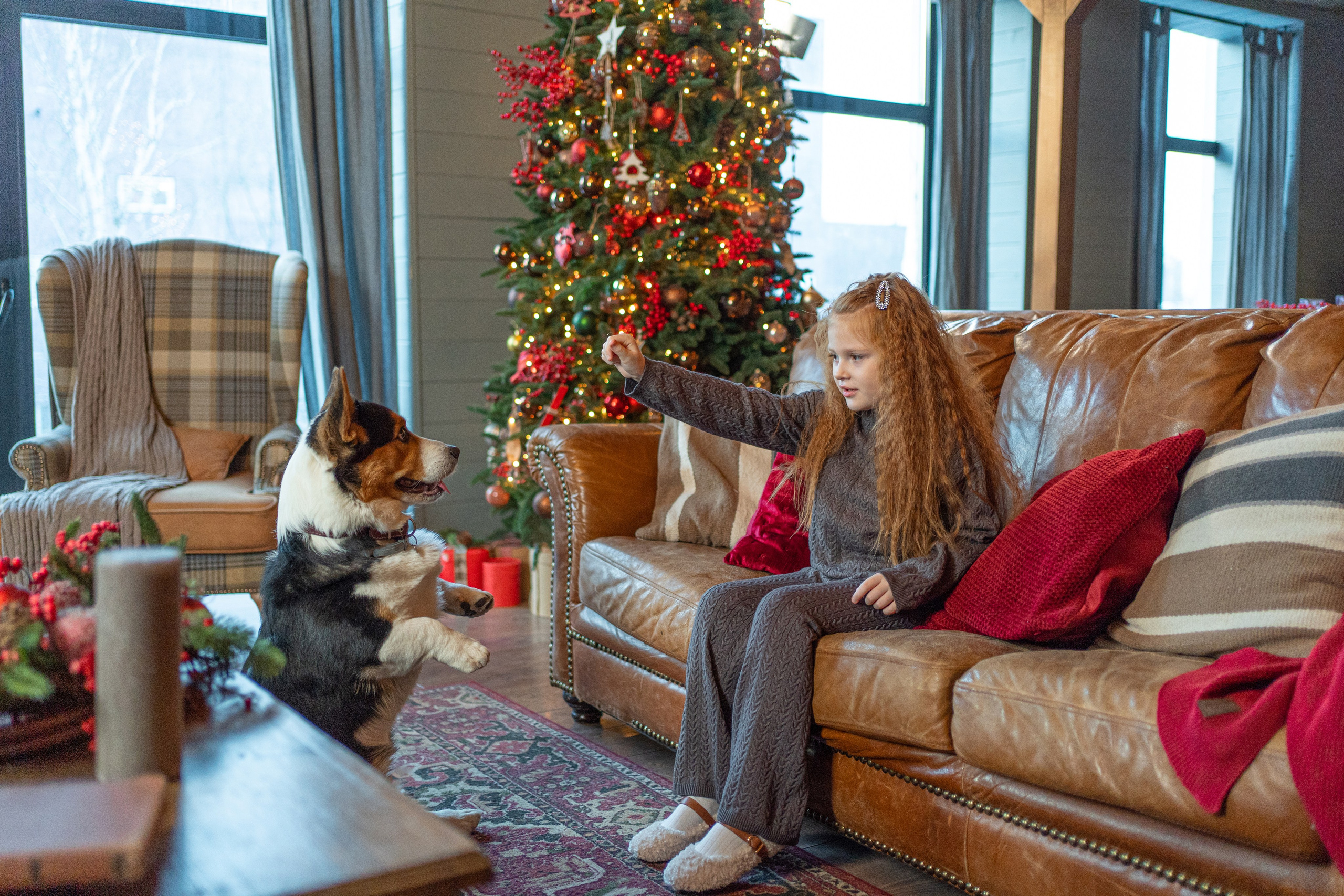 Новогоднее шале. Главная