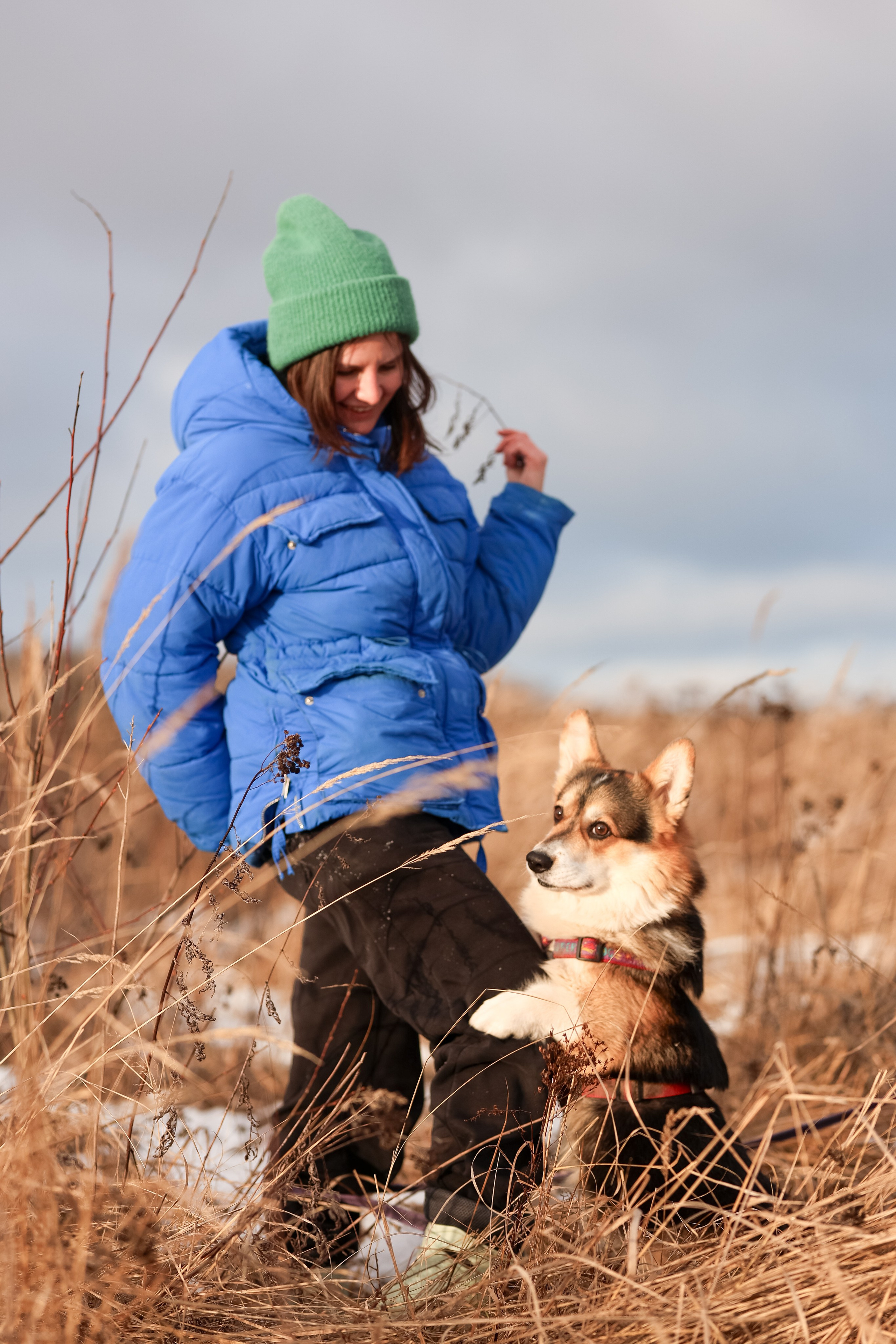 Трой, Балу и Катя. Фотограф-анималист в Москве Кириллова Татьяна