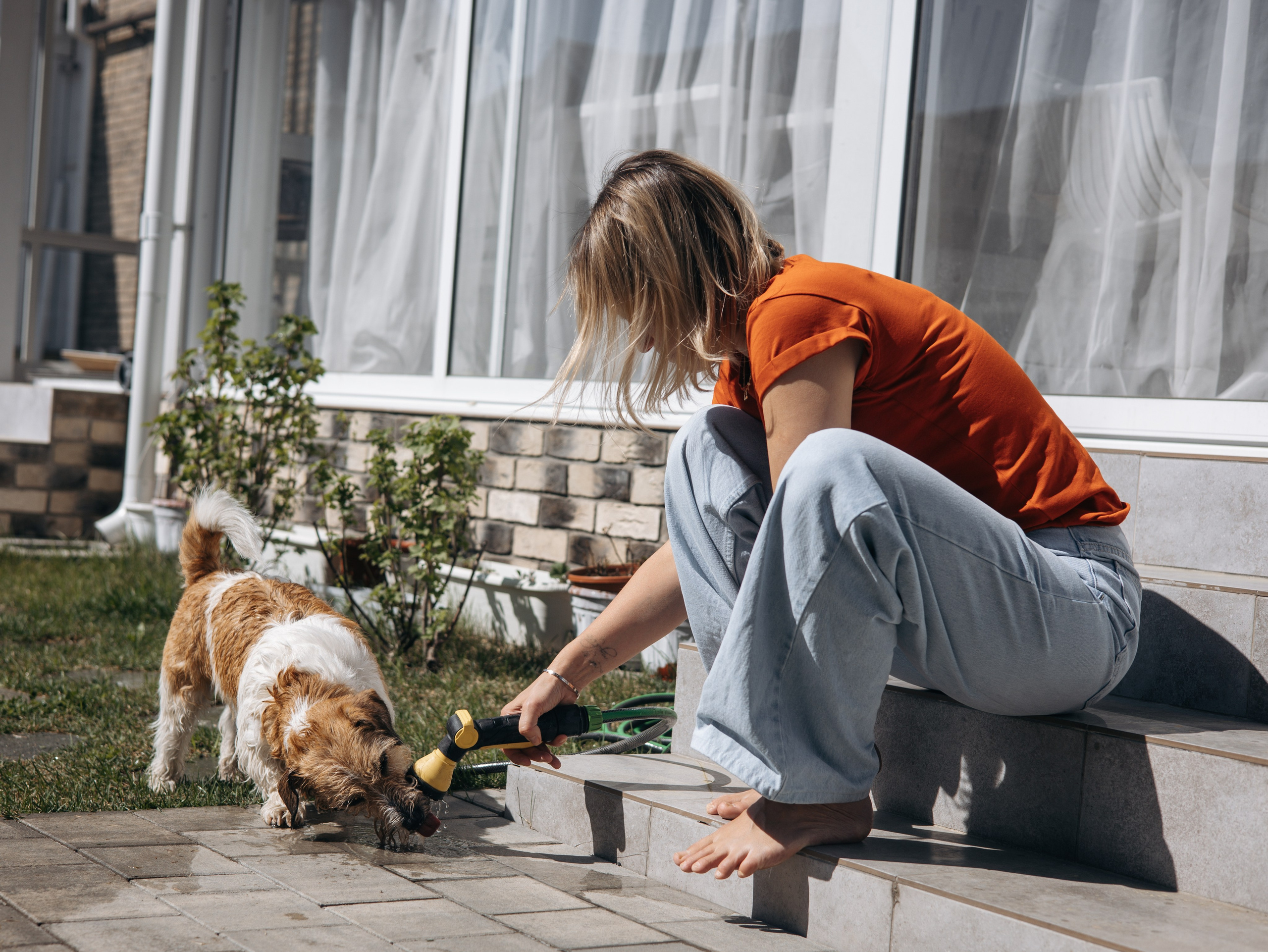 День рождение Зенита. Фотограф-анималист в Москве Кириллова Татьяна