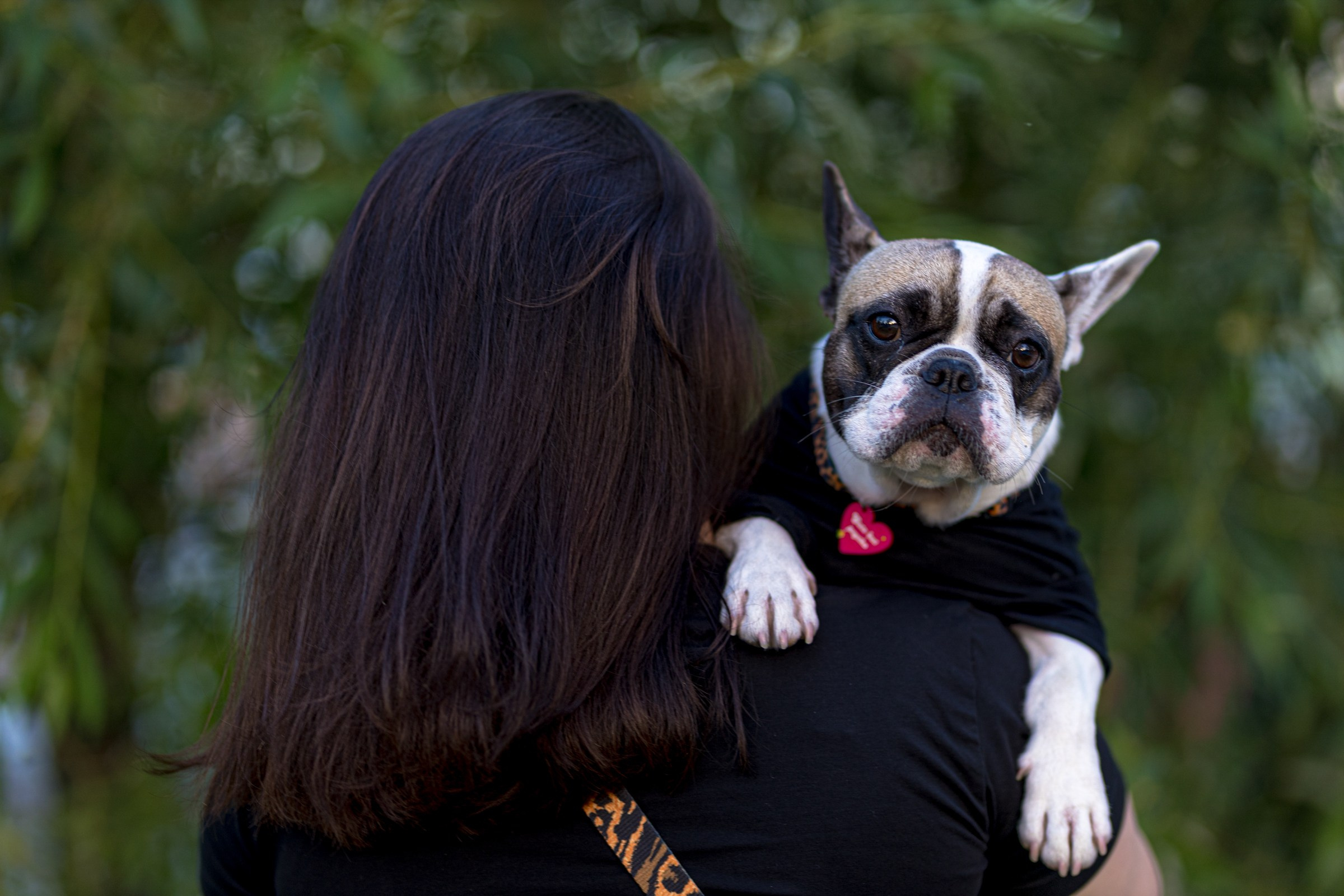 Пандора и Марго. Фотограф-анималист в Москве Кириллова Татьяна