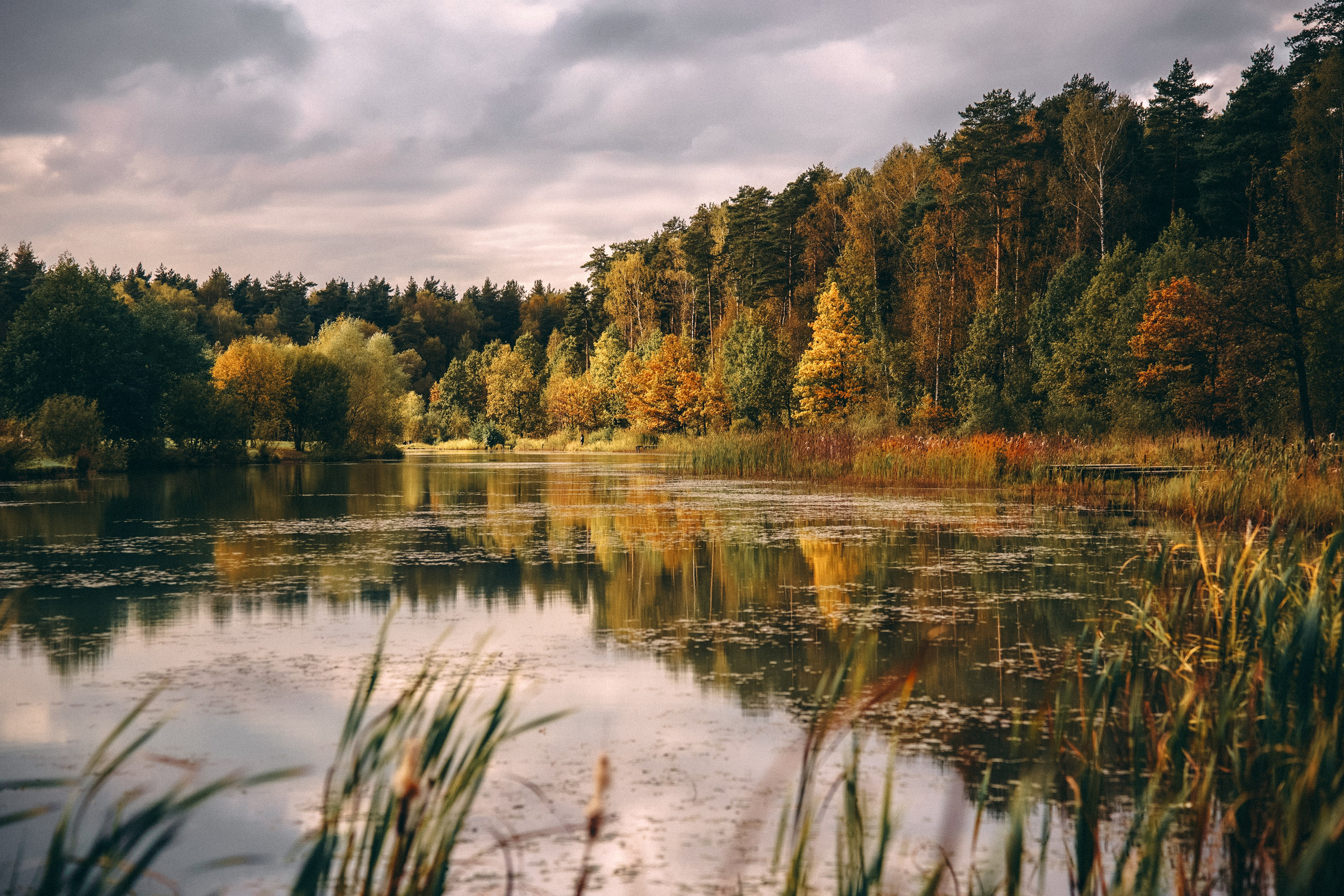 Осень 2025. Фотограф из Москвы — DASHA NOVA | Авторская фотография в разных жанрах