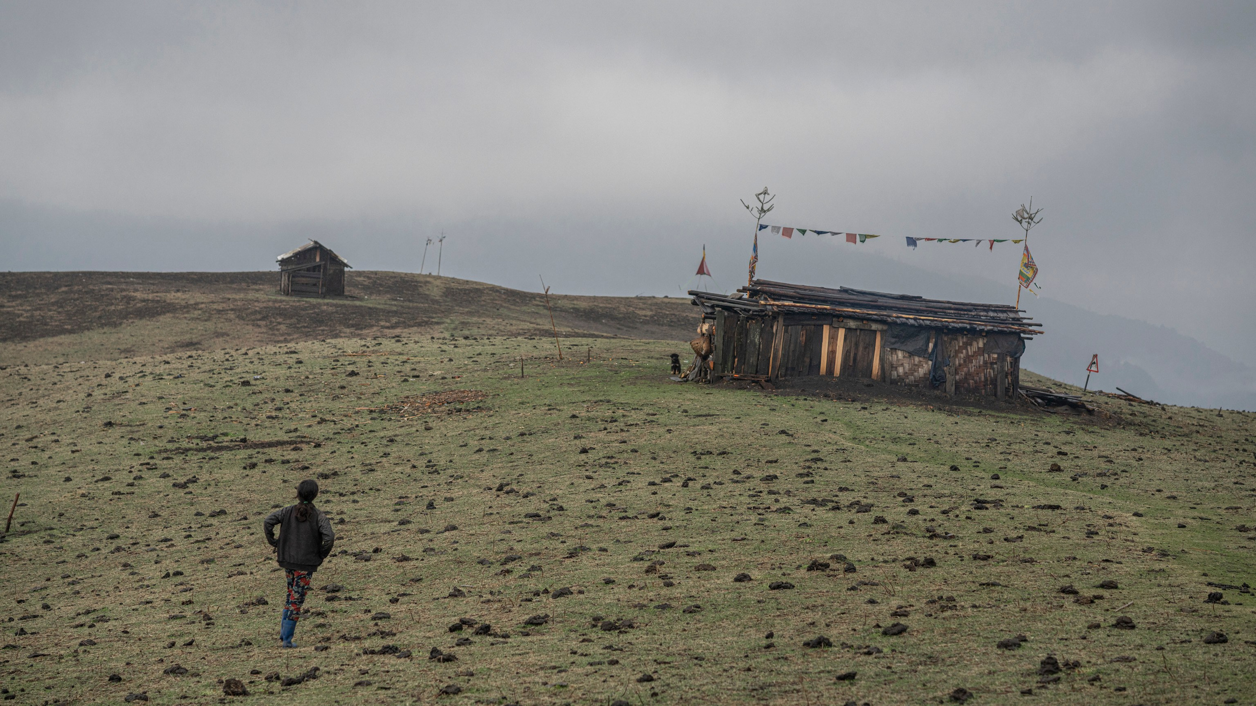 India travel. Фотограф Сергей Танков