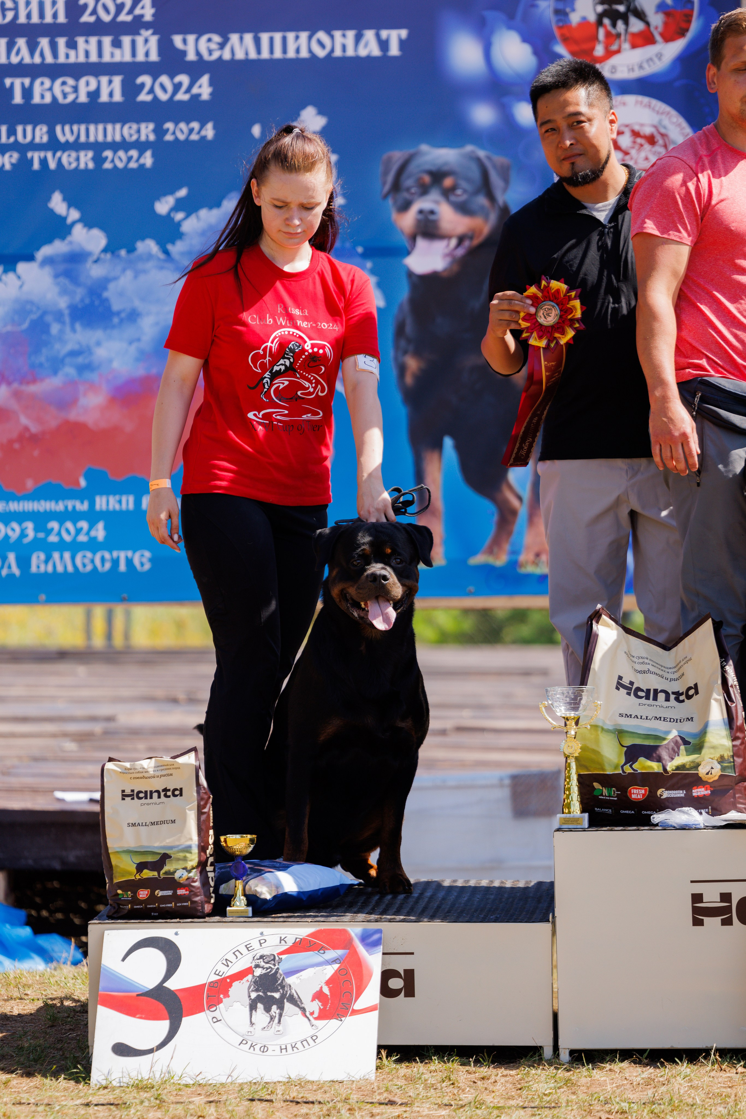 ПК и КЧК ротвейлеры Тверь 6-7.07.2024. Фотограф-анималист Юлия Германика