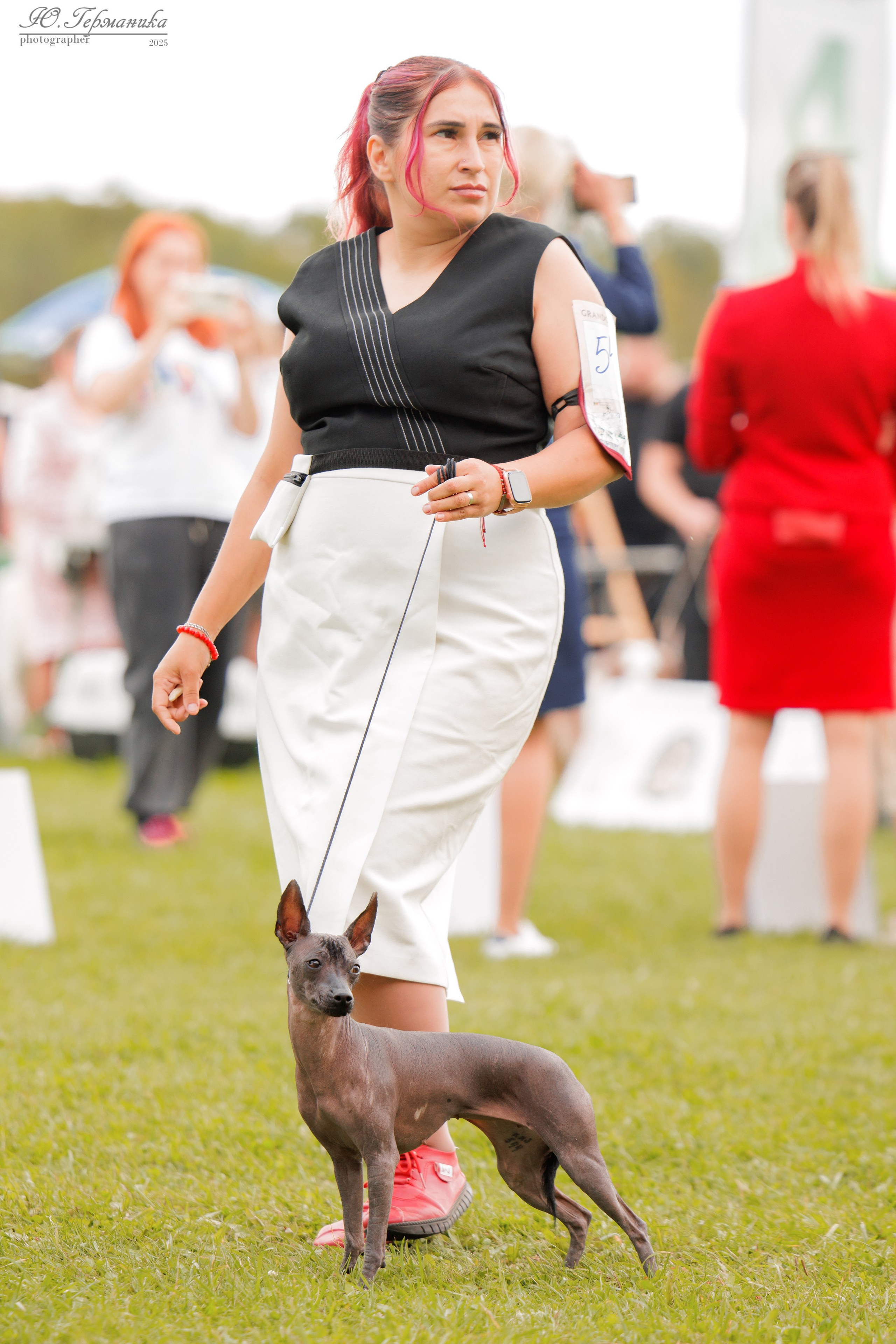 Переславль 5-7.08.2025. Фотограф-анималист Юлия Германика