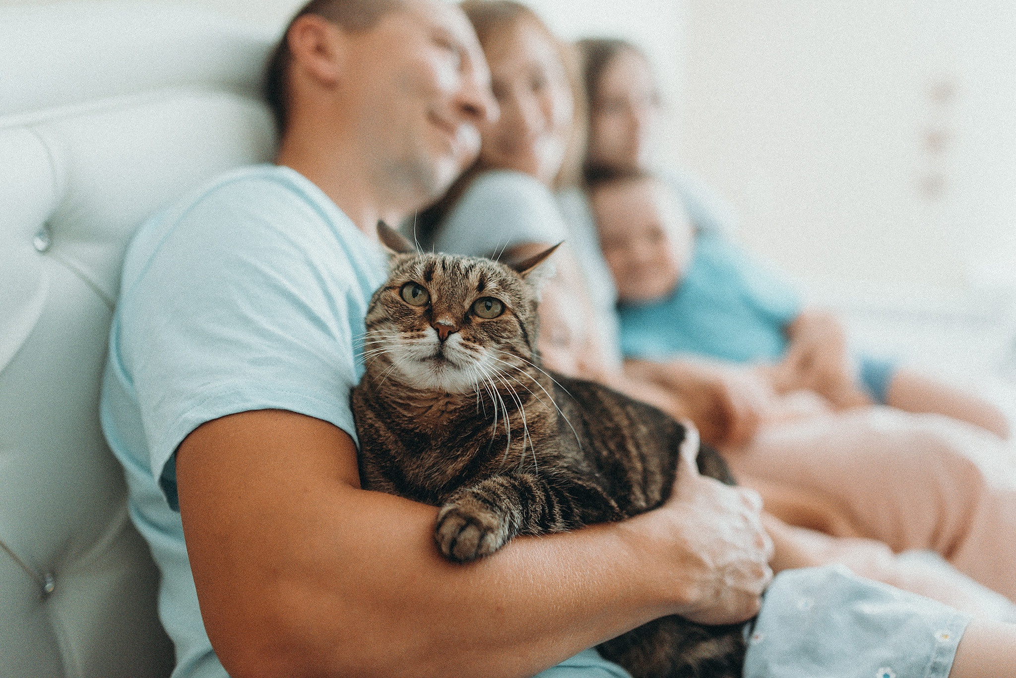 Про Любовь и кошку. Фотограф в Санкт-Петребурге и в Великих Луках Волченкова Екатерина