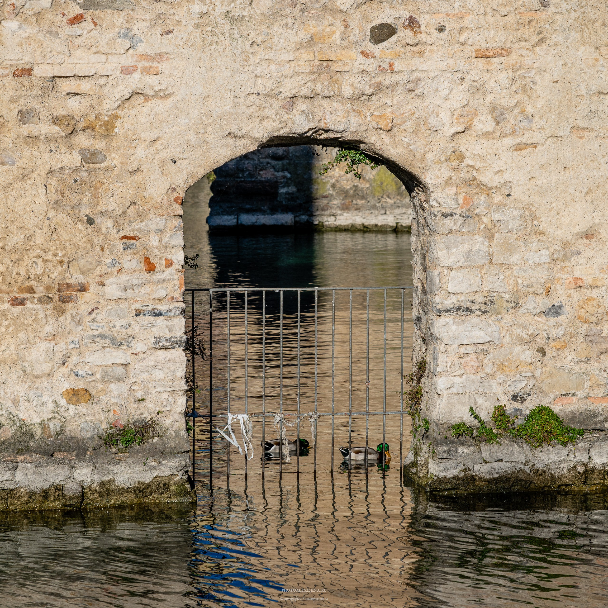 Сирмионе-очаровательный городок на озере Гарда. Авторские стильные фотокартины