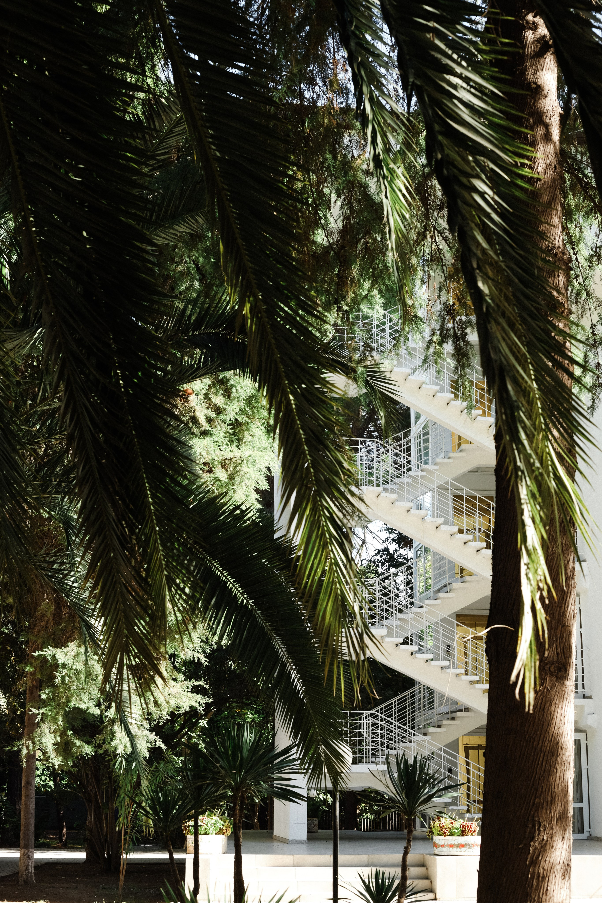 Абхазия 2023. Свадебный и семейный фотограф Анна Печенкина