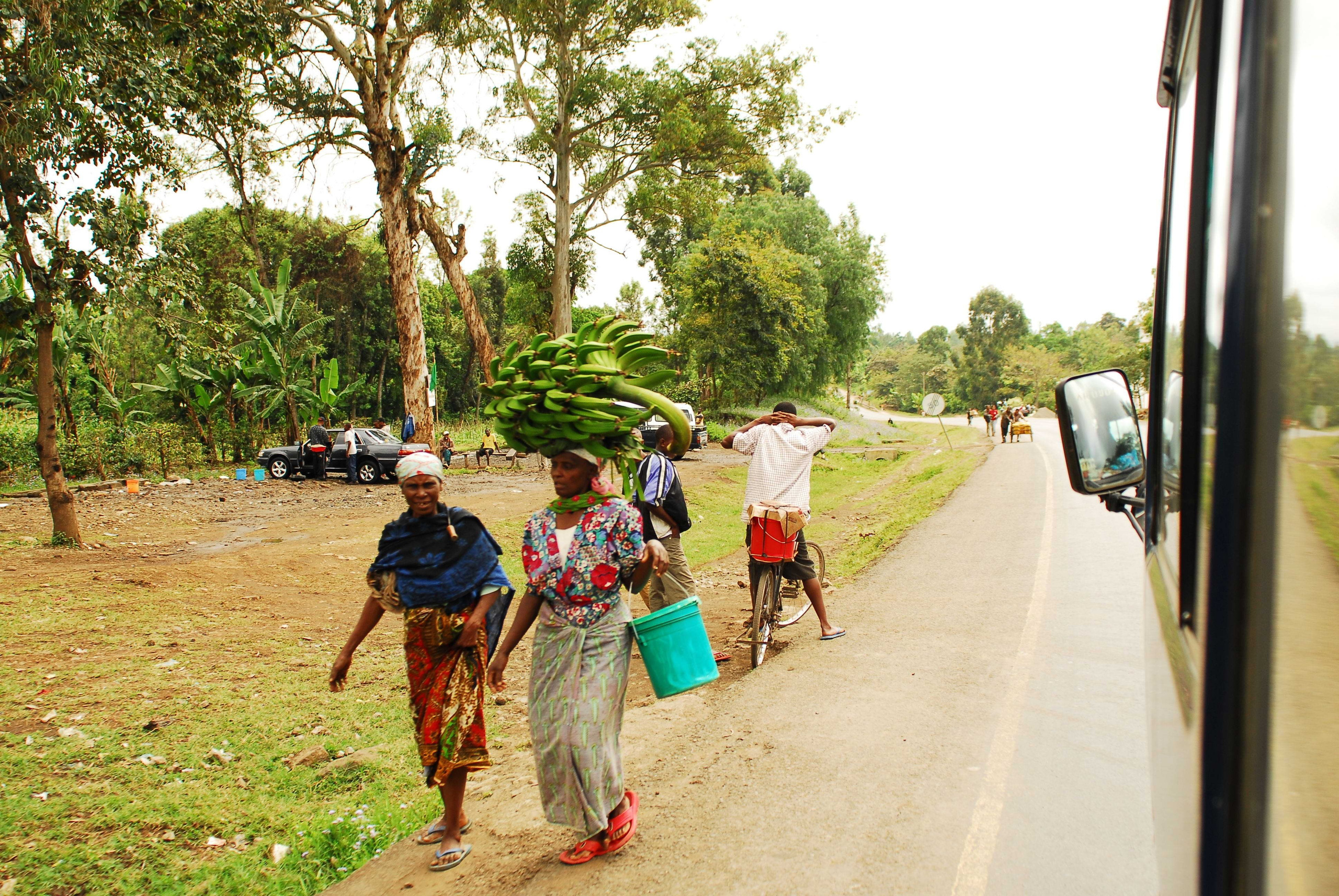 Килиманджаро. Заставка