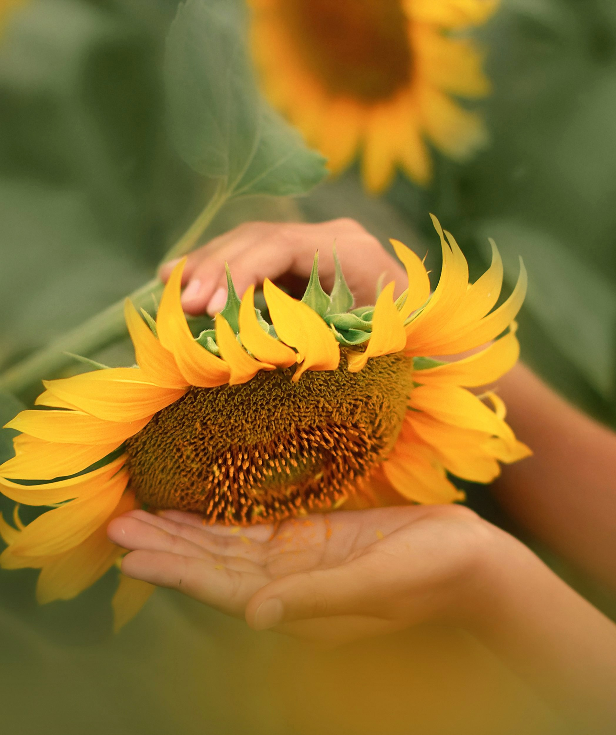Детская и семейная фотосессия. Детский и семейный фотограф в Нижнем Новгороде Татьяна Лехкун