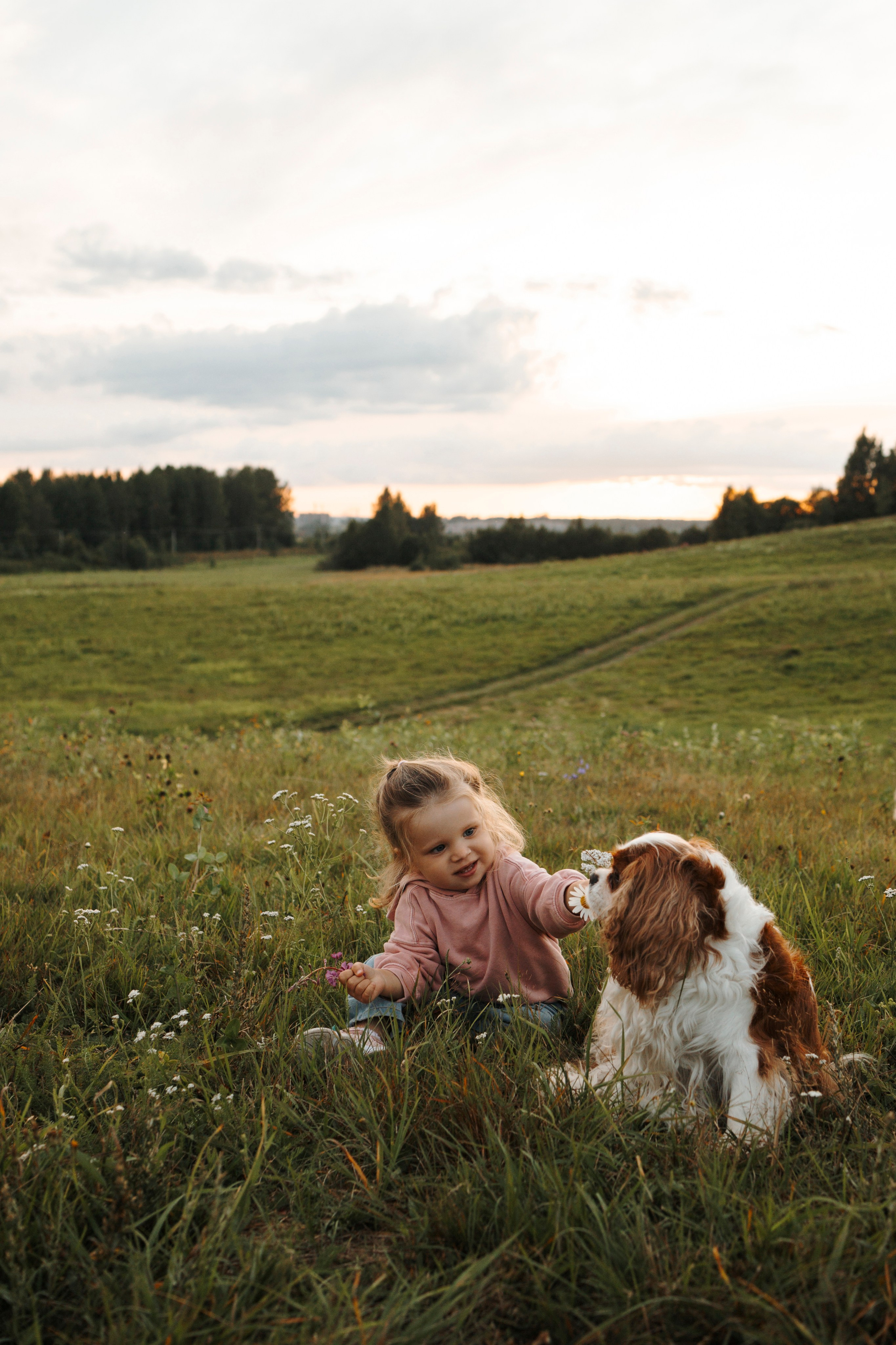 На закате Катерина, Луна и Рикки. Фотограф-анималист в Санкт-Петеребурге Титова Алиса