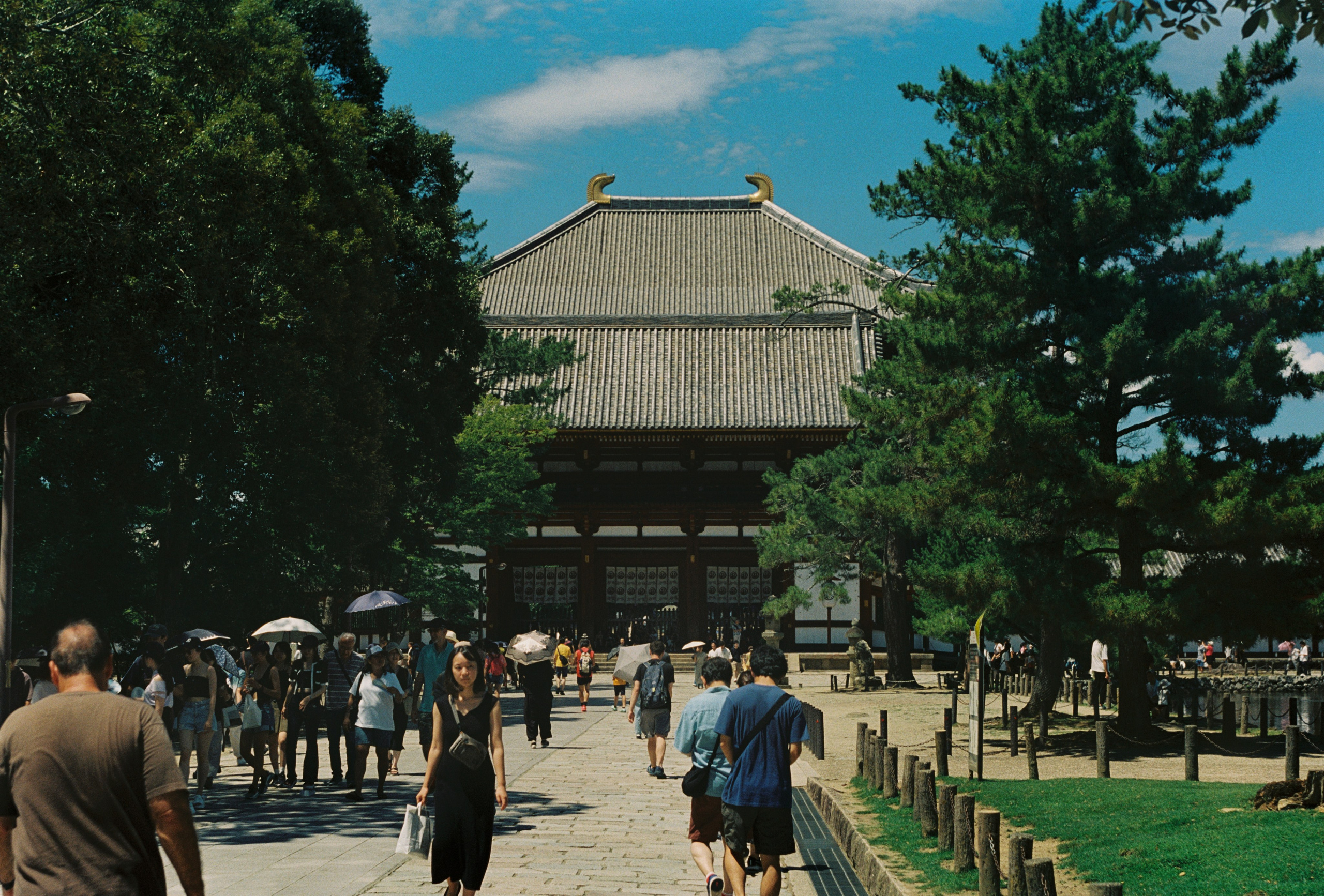 Street/Стрит. VladGauss | Photographer/Videographer