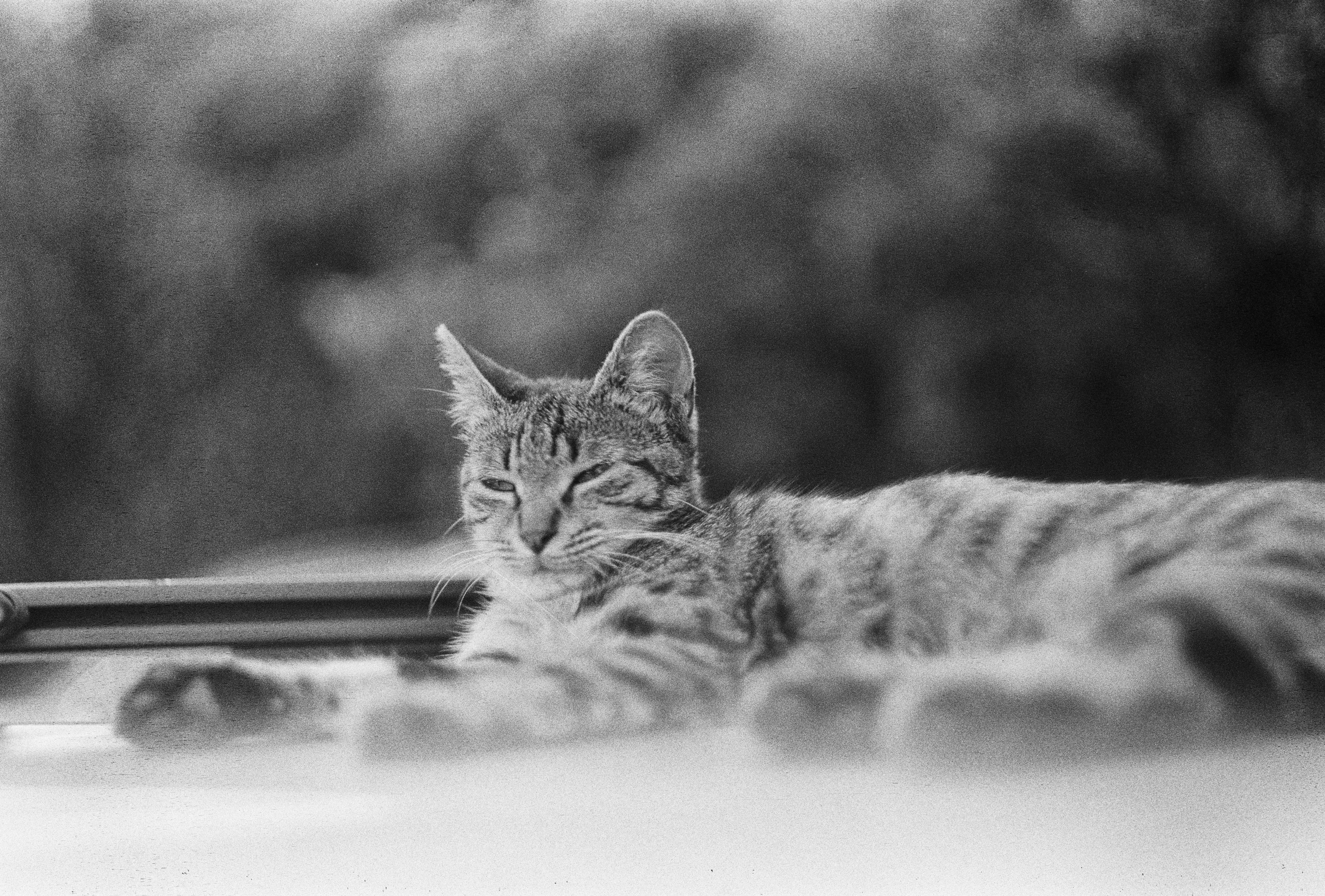 Street/Стрит. VladGauss | Photographer/Videographer