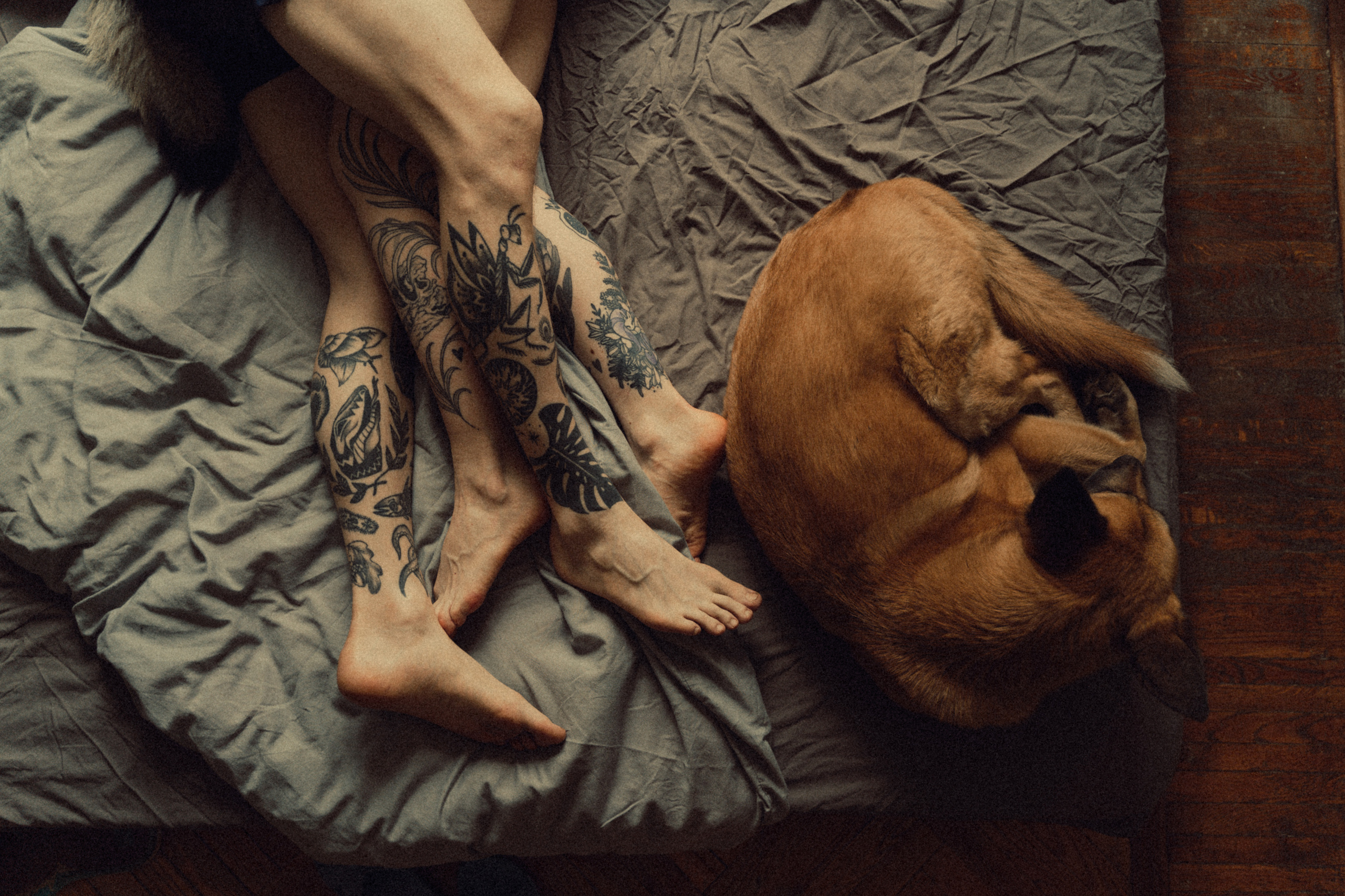 Photographer Italy Olga Dimenshtein | Liguria • Genoa • Milan • Rome