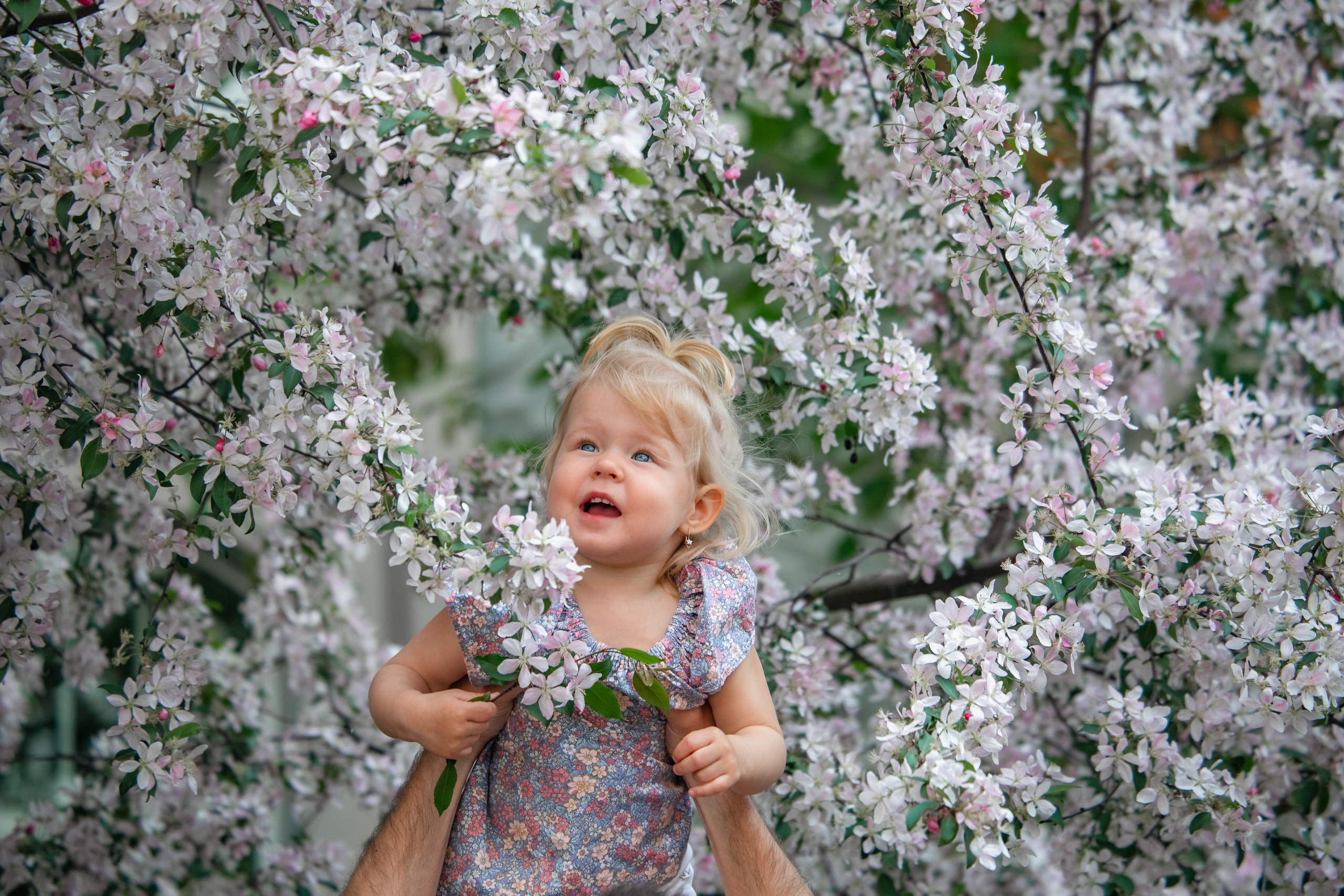 ВЕСНА. Дарья Бухреева — фотограф, видеограф и фототерапевт. Москва и мир