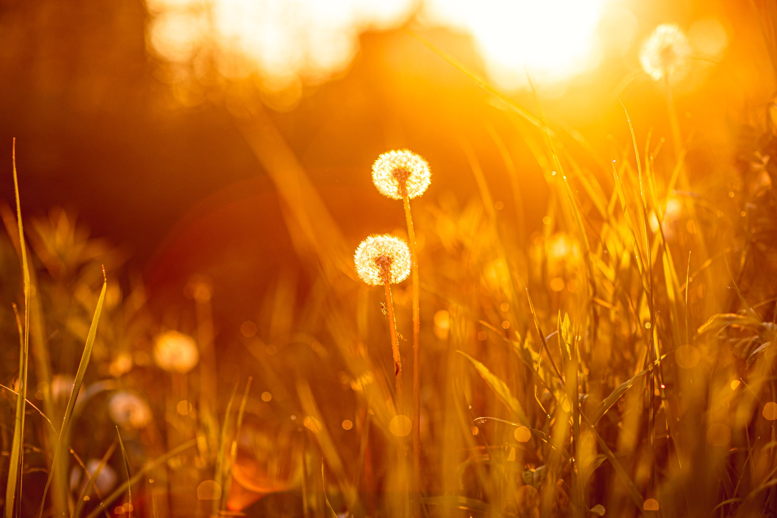 ЛЕТО. Дарья Бухреева — фотограф, видеограф и фототерапевт. Москва и мир